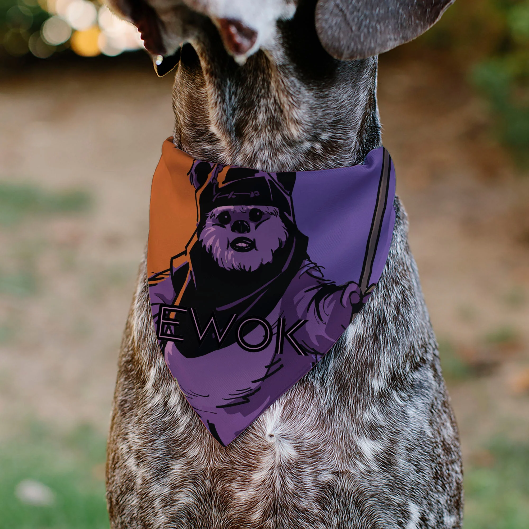 Pet Bandana - Star Wars EWOK Text and Wicket Pop Art Pose Orange/Purples/Black - Image 4