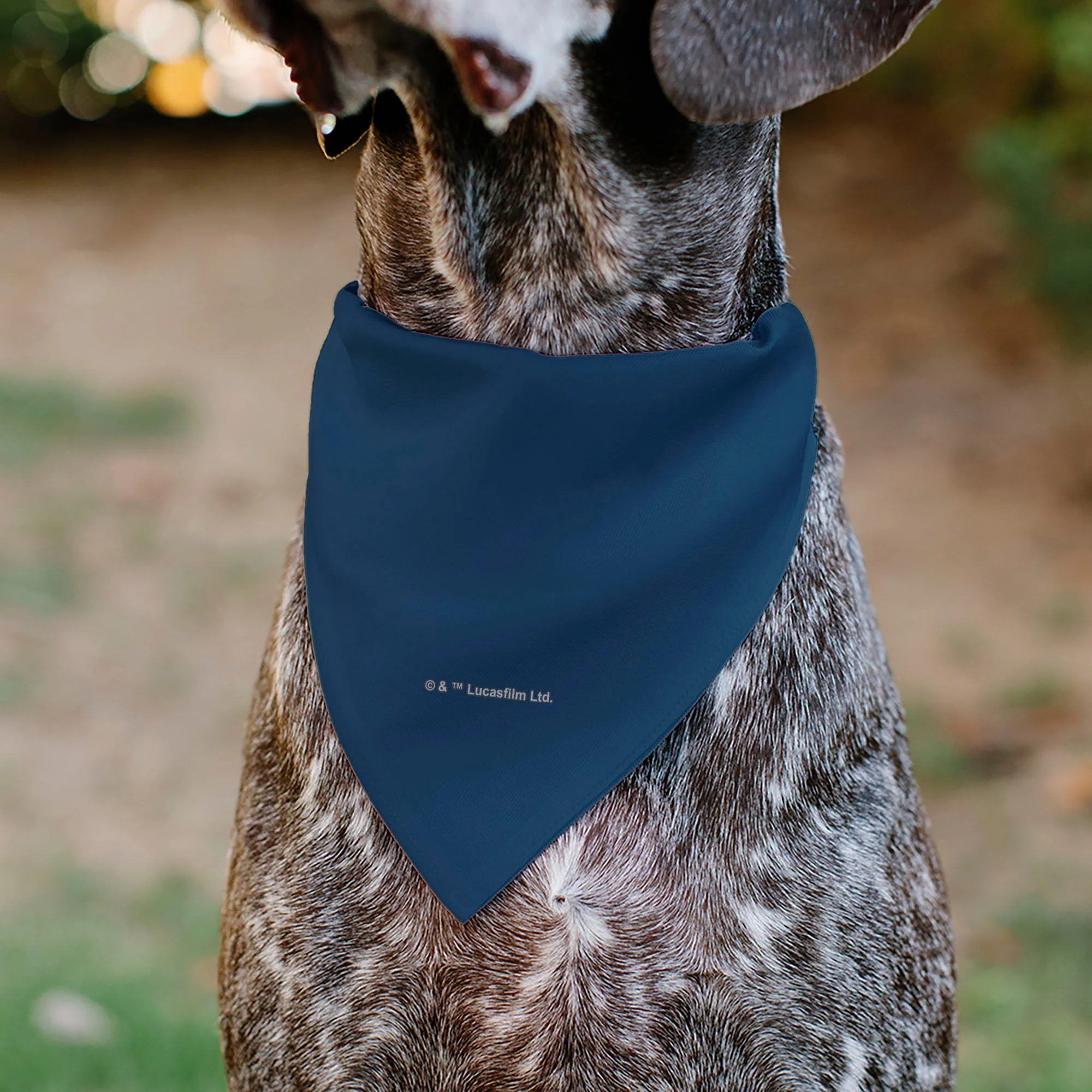Pet Bandana - Star Wars FETT Text and Boba Fett Pop Art Pose Blues - Image 5