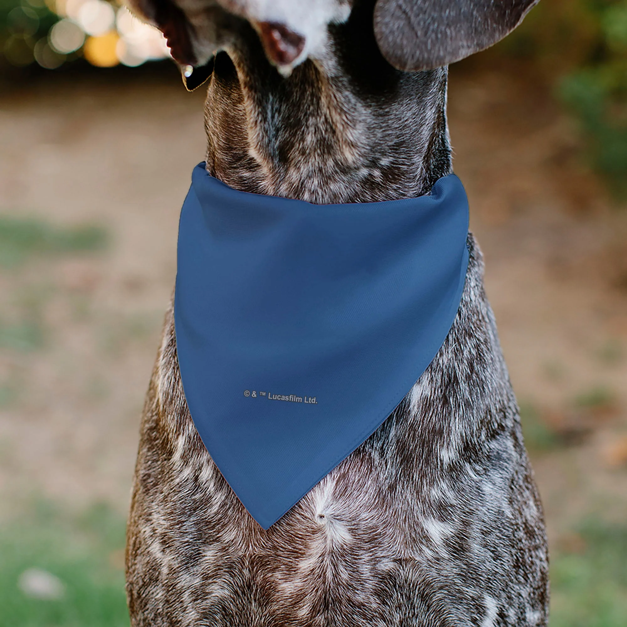 Pet Bandana - Star Wars JEDI Text and Yoda Lightsaber Pop Art Pose Black/Blues - Image 5