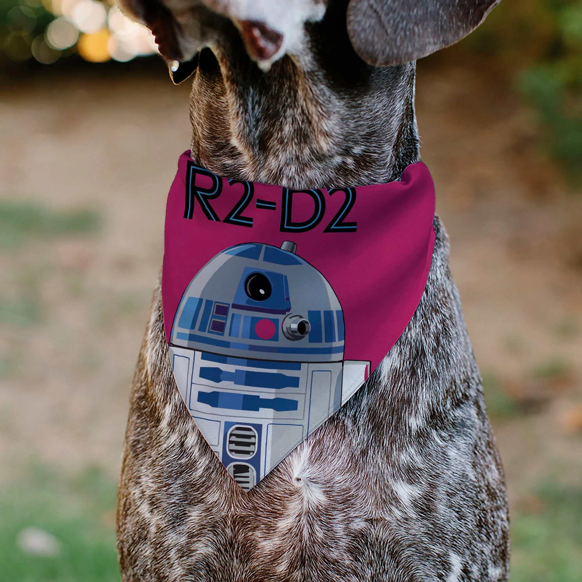 Pet Bandana - Star Wars R2-D2 Text and Pop Art Pose Red/Black/Blue - Image 4