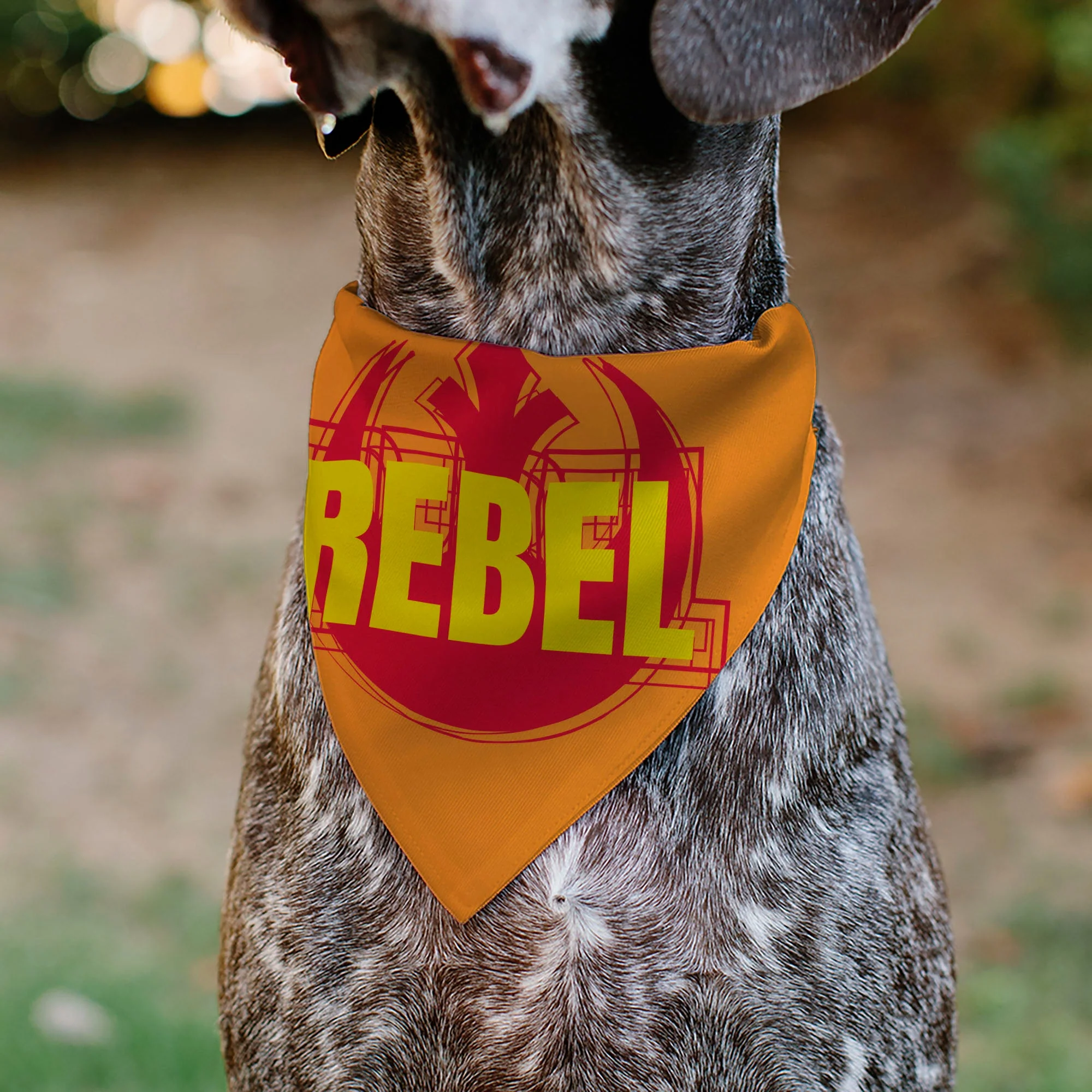 Pet Bandana - Star Wars REBEL Text and Rebel Alliance Insignia Orange/Red/Yellow - Image 4