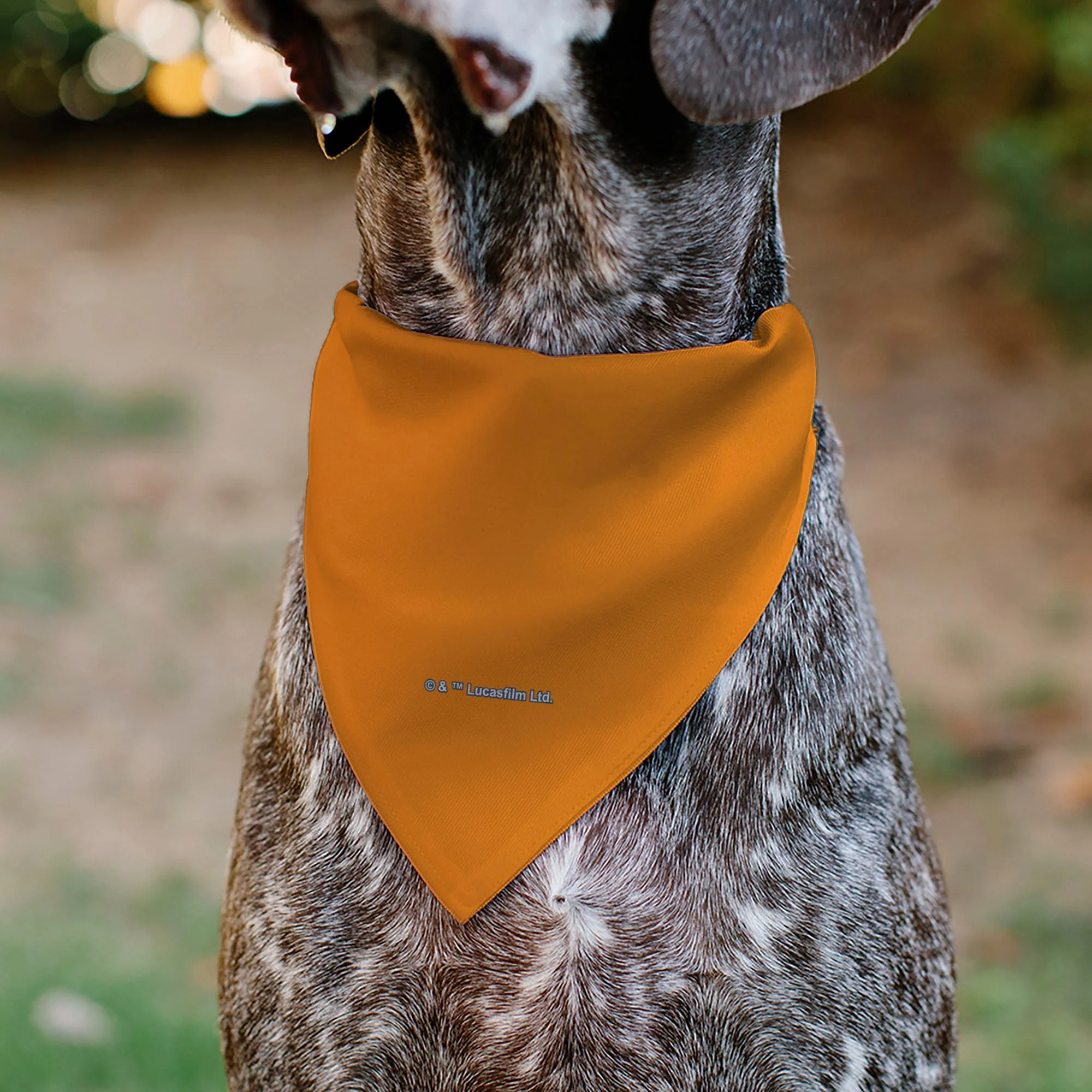 Pet Bandana - Star Wars REBEL Text and Rebel Alliance Insignia Orange/Red/Yellow - Image 5
