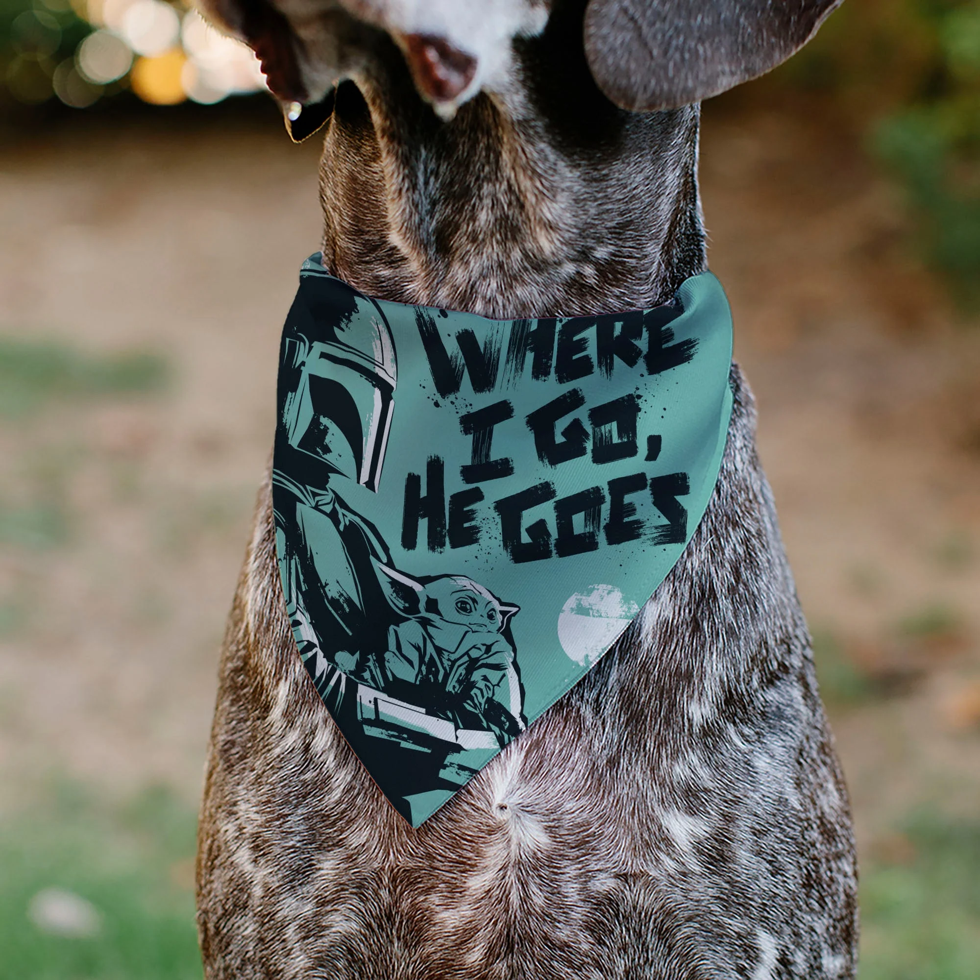 Pet Bandana - Star Wars The Madalorian and Grogu WHERE HE GOES I GO Pose Blue/Black - Image 4