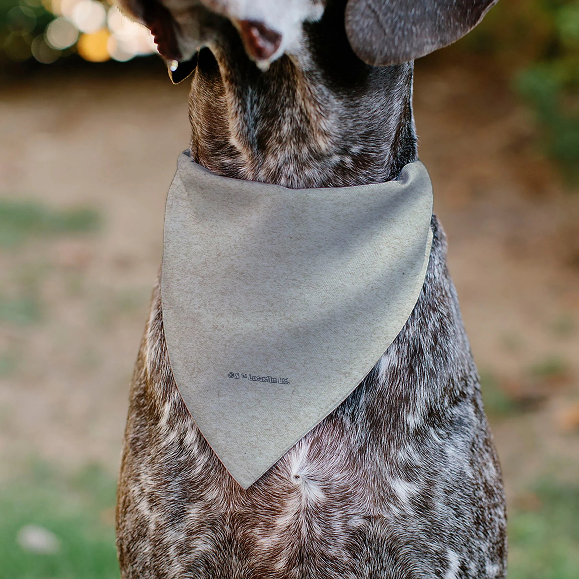 Pet Bandana - Star Wars The Madalorian Impression Painting Beige - Image 5