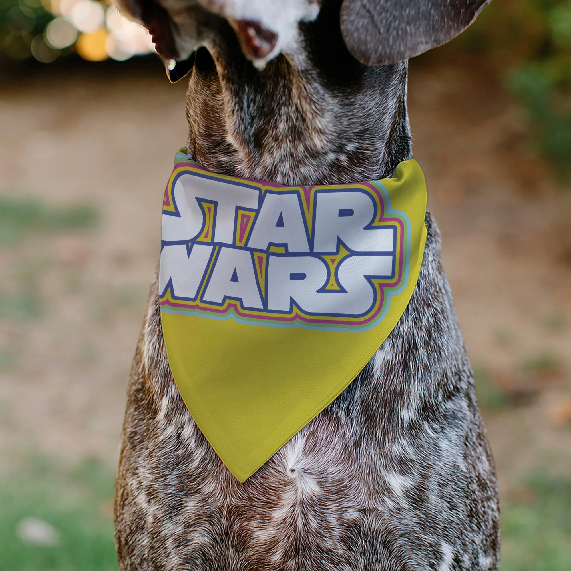 Pet Bandana - STAR WARS Title Logo Yellow/Multi Color/White - Image 4