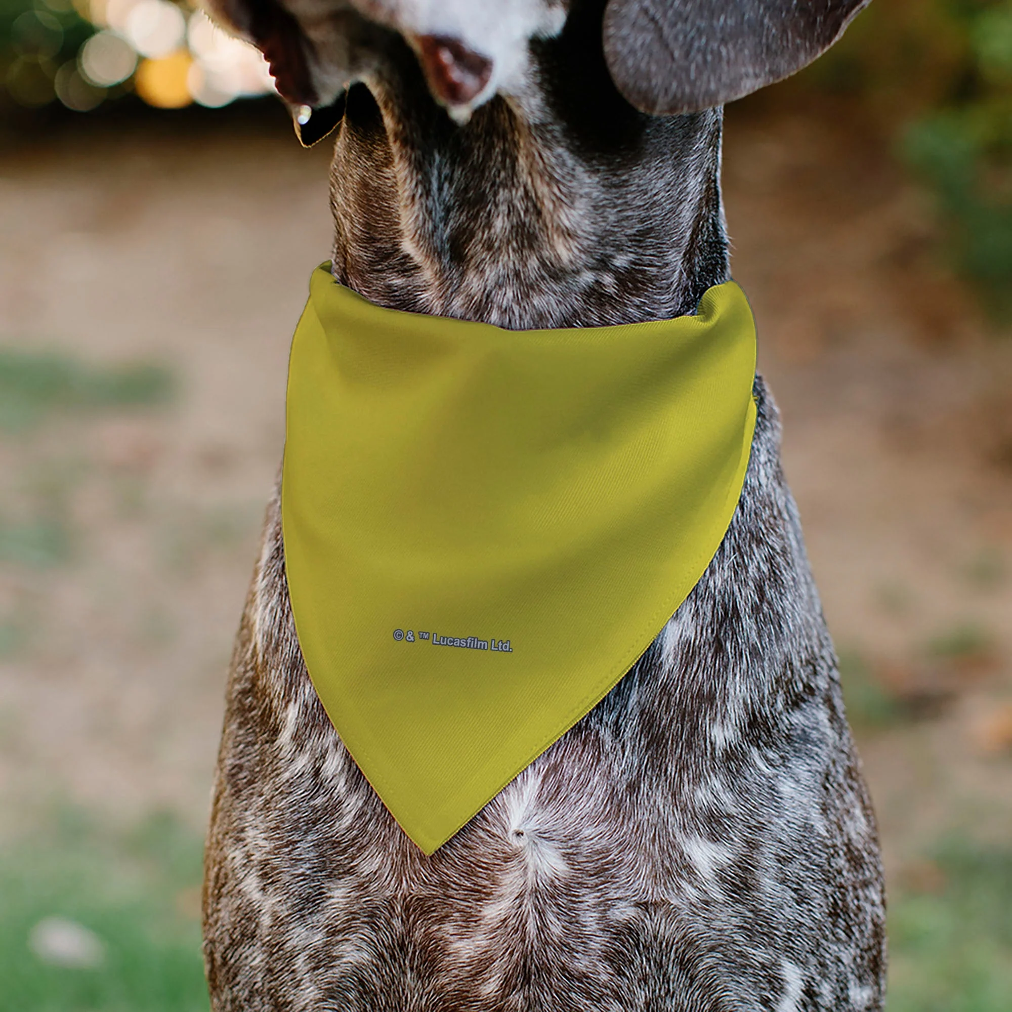 Pet Bandana - STAR WARS Title Logo Yellow/Multi Color/White - Image 5