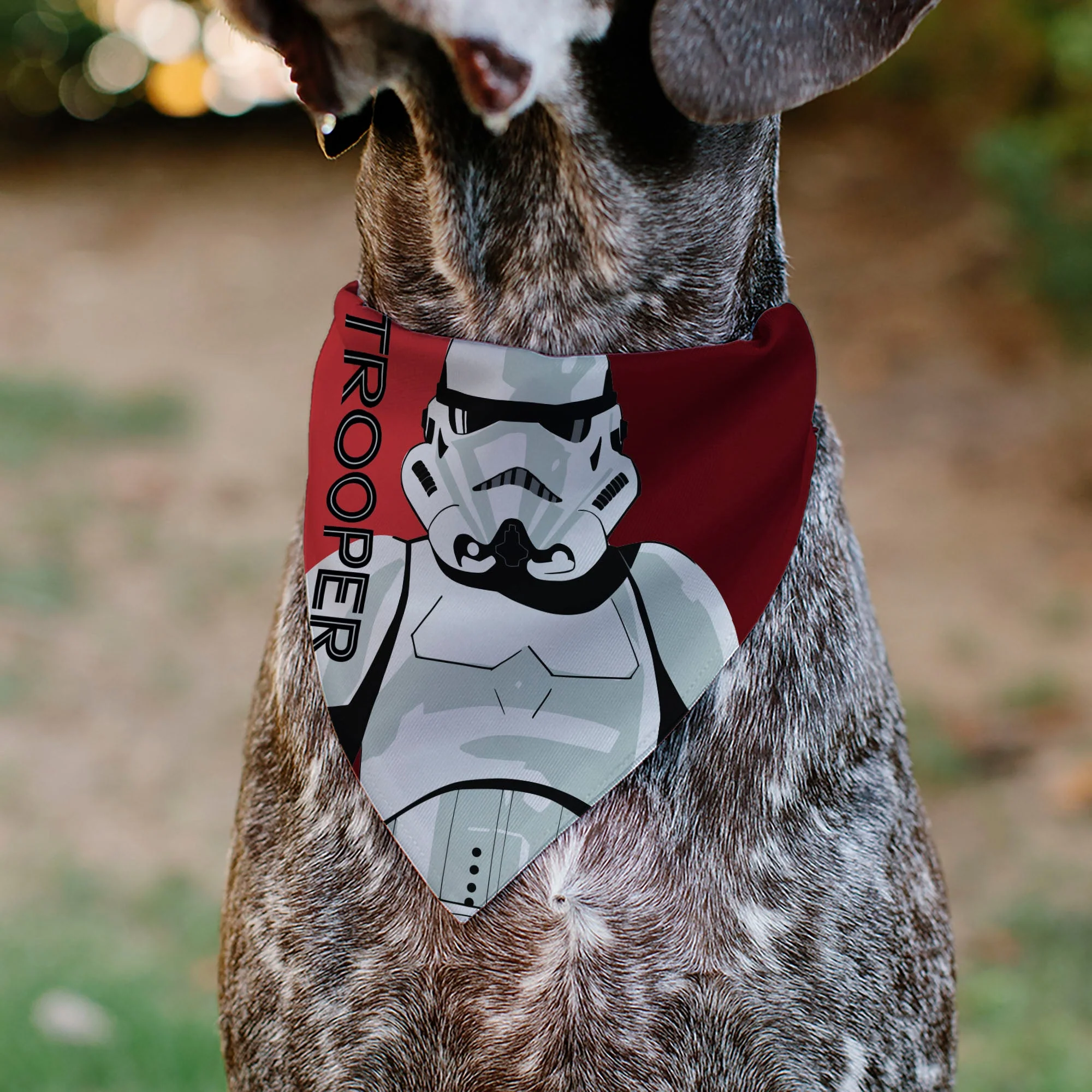 Pet Bandana - Star Wars TROOPER Text and Stormtrooper Pop Art Pose Reds/Black - Image 4