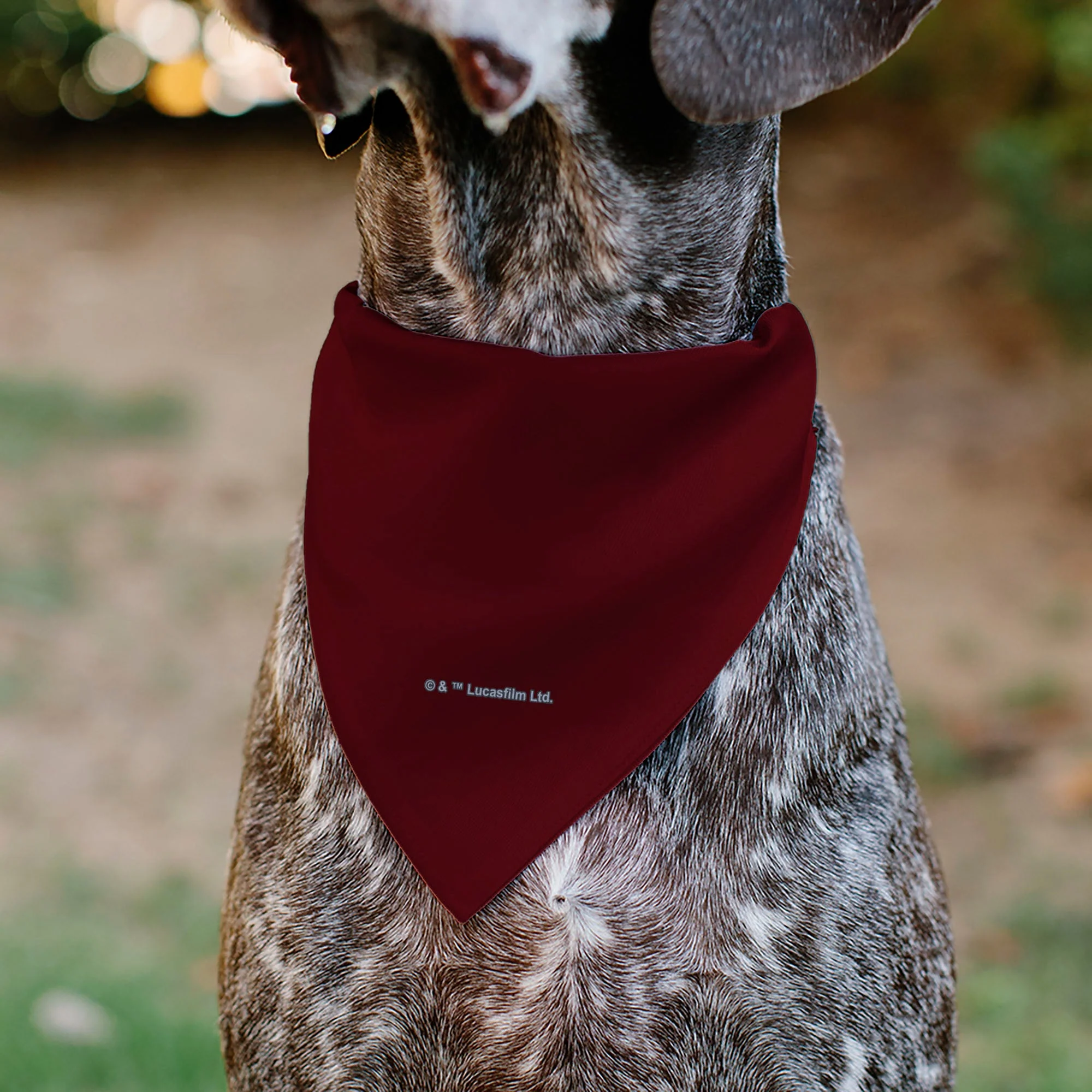 Pet Bandana - Star Wars TROOPER Text and Stormtrooper Pop Art Pose Reds/Black - Image 5