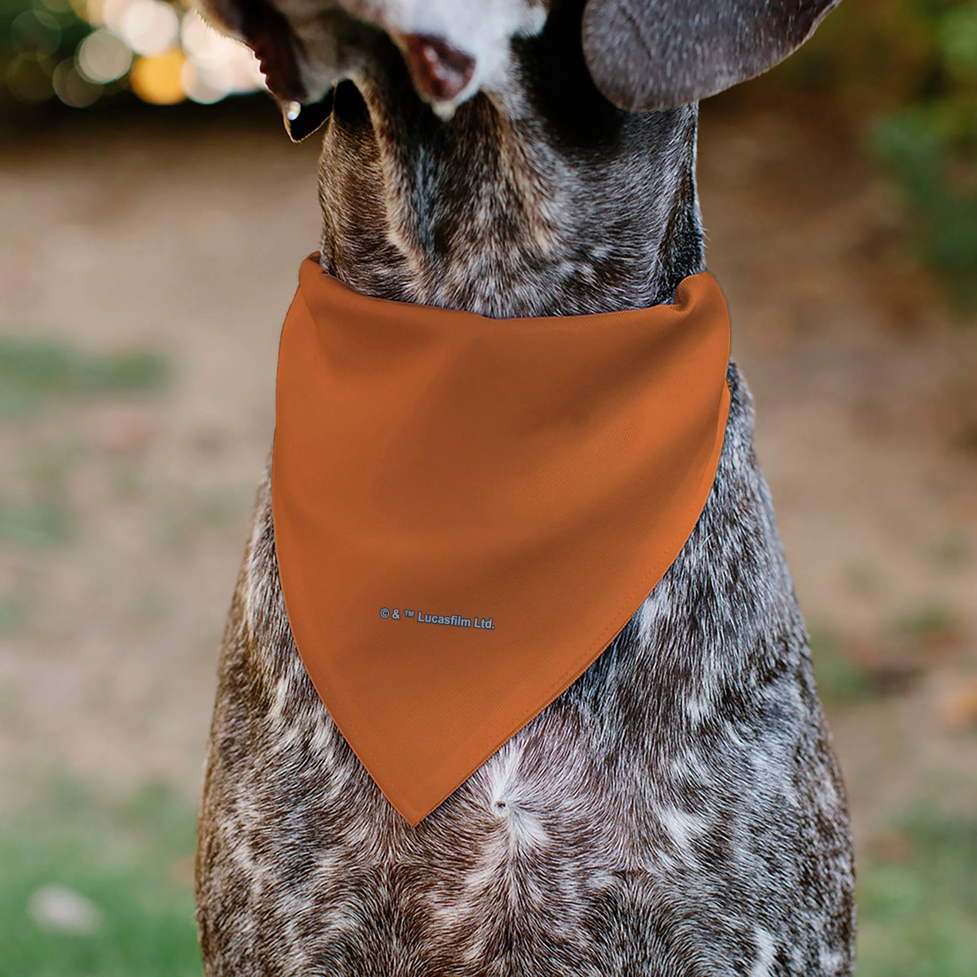 Pet Bandana - Star Wars VADER Text and Pop Art Pose Red/Orange/Black - Image 5