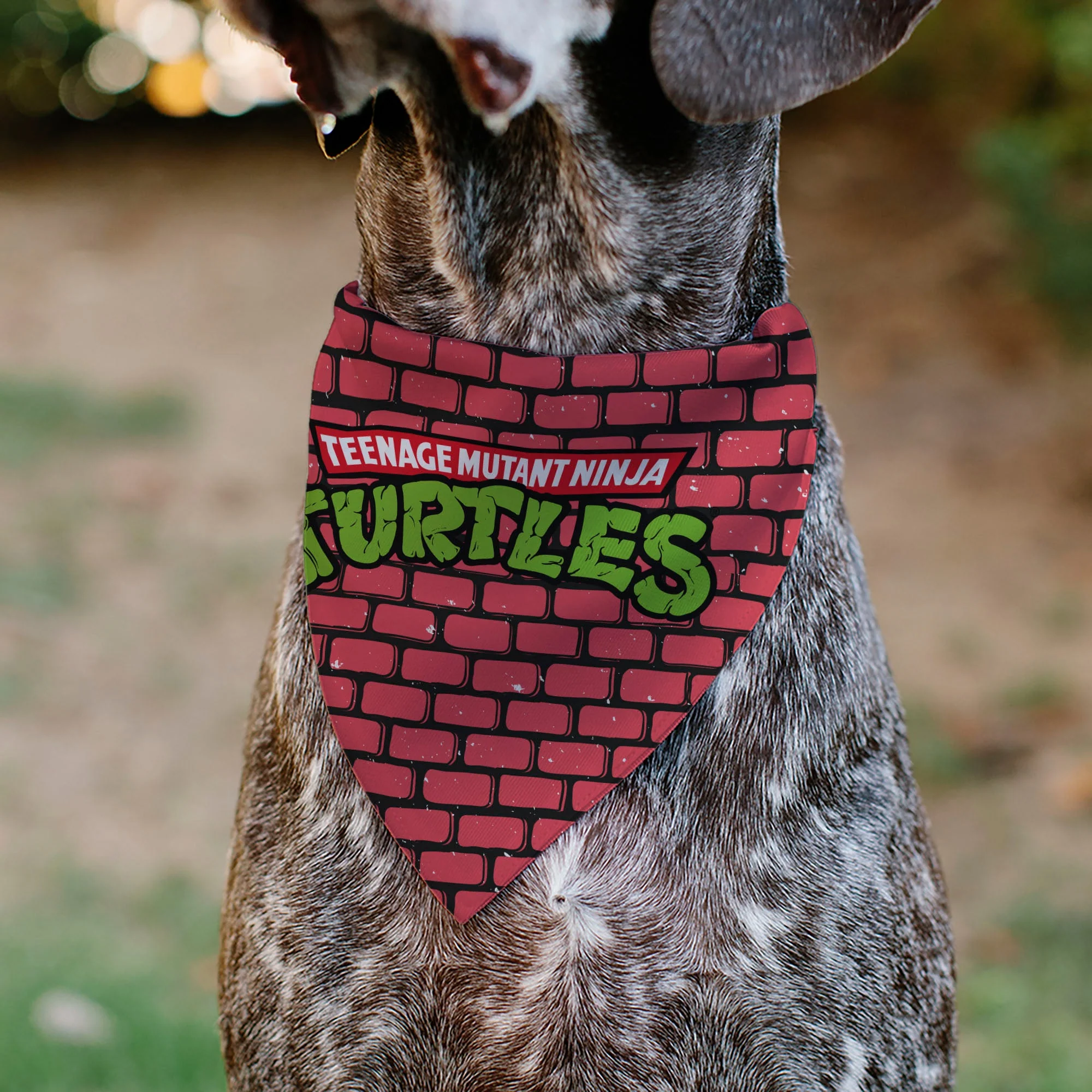 Pet Bandana - TEENAGE MUTANT NINJA TURTLES Brick Title Logo - Image 4