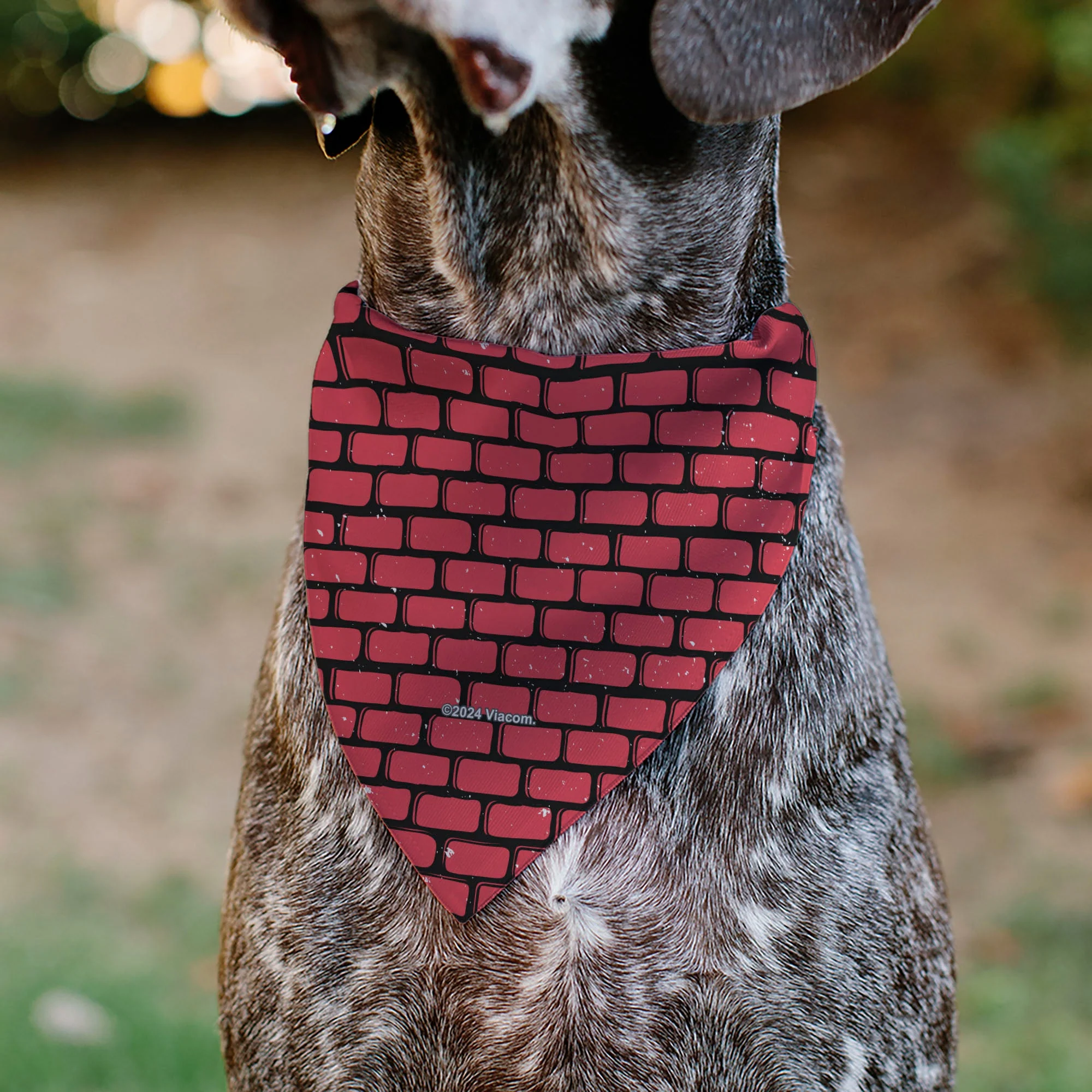 Pet Bandana - TEENAGE MUTANT NINJA TURTLES Brick Title Logo - Image 5