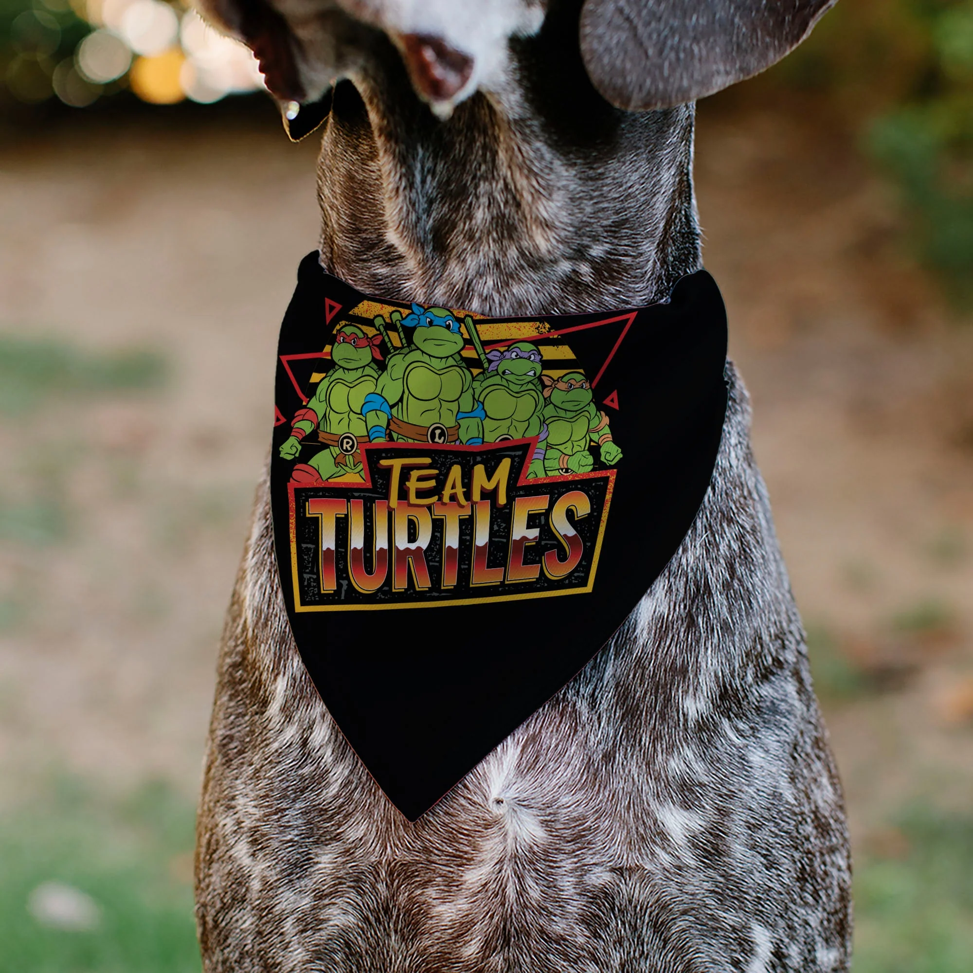 Pet Bandana - Teenage Mutant Ninja Turtles TEAM TURTLES Group Pose Black/Red - Image 4