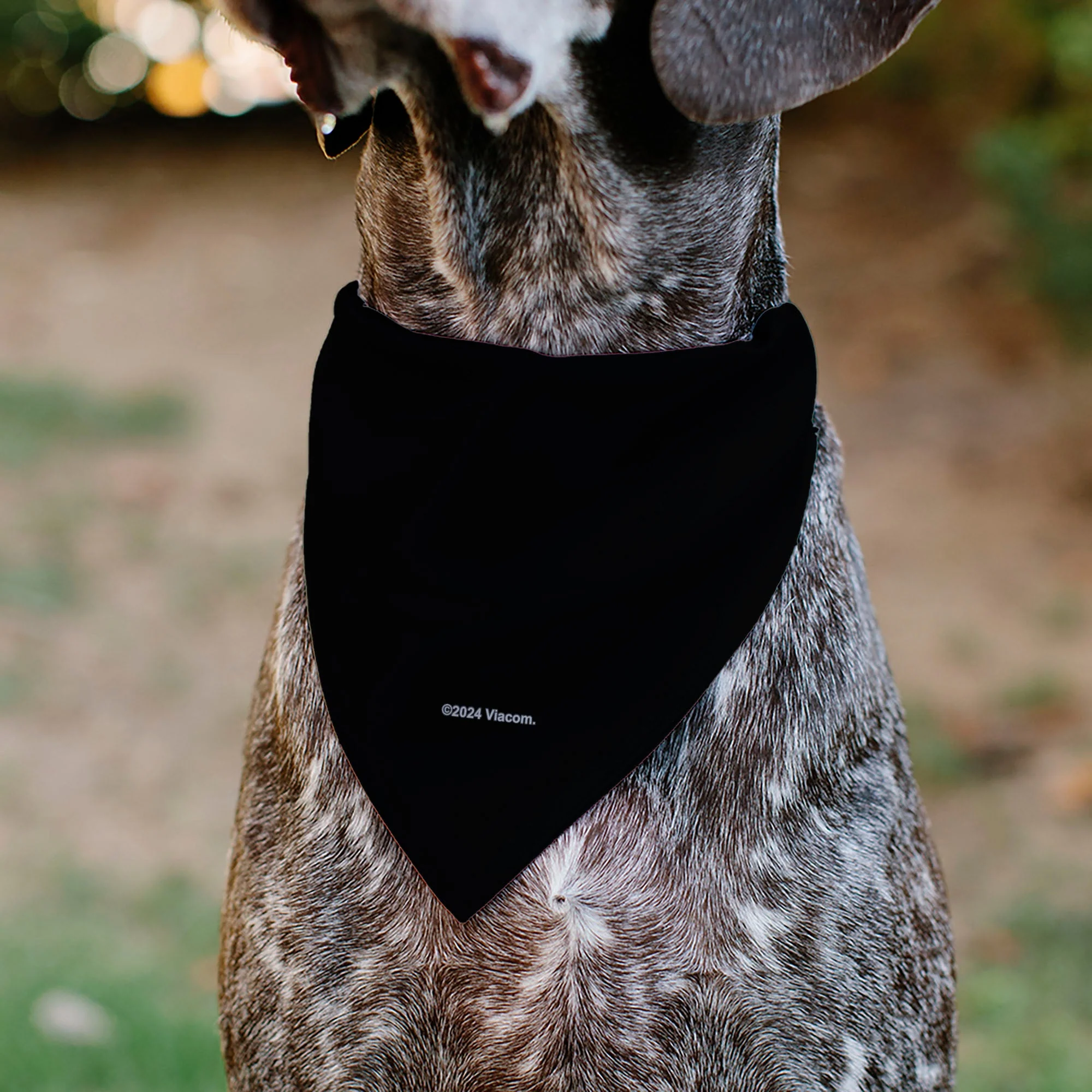 Pet Bandana - Teenage Mutant Ninja Turtles TEAM TURTLES Group Pose Black/Red - Image 5