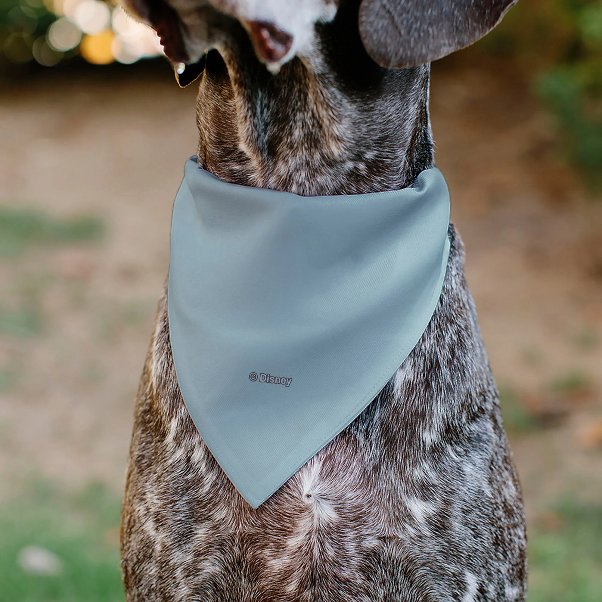 Pet Bandana - The Little Mermaid Ariel Face Close-Up Light Blue - Image 5