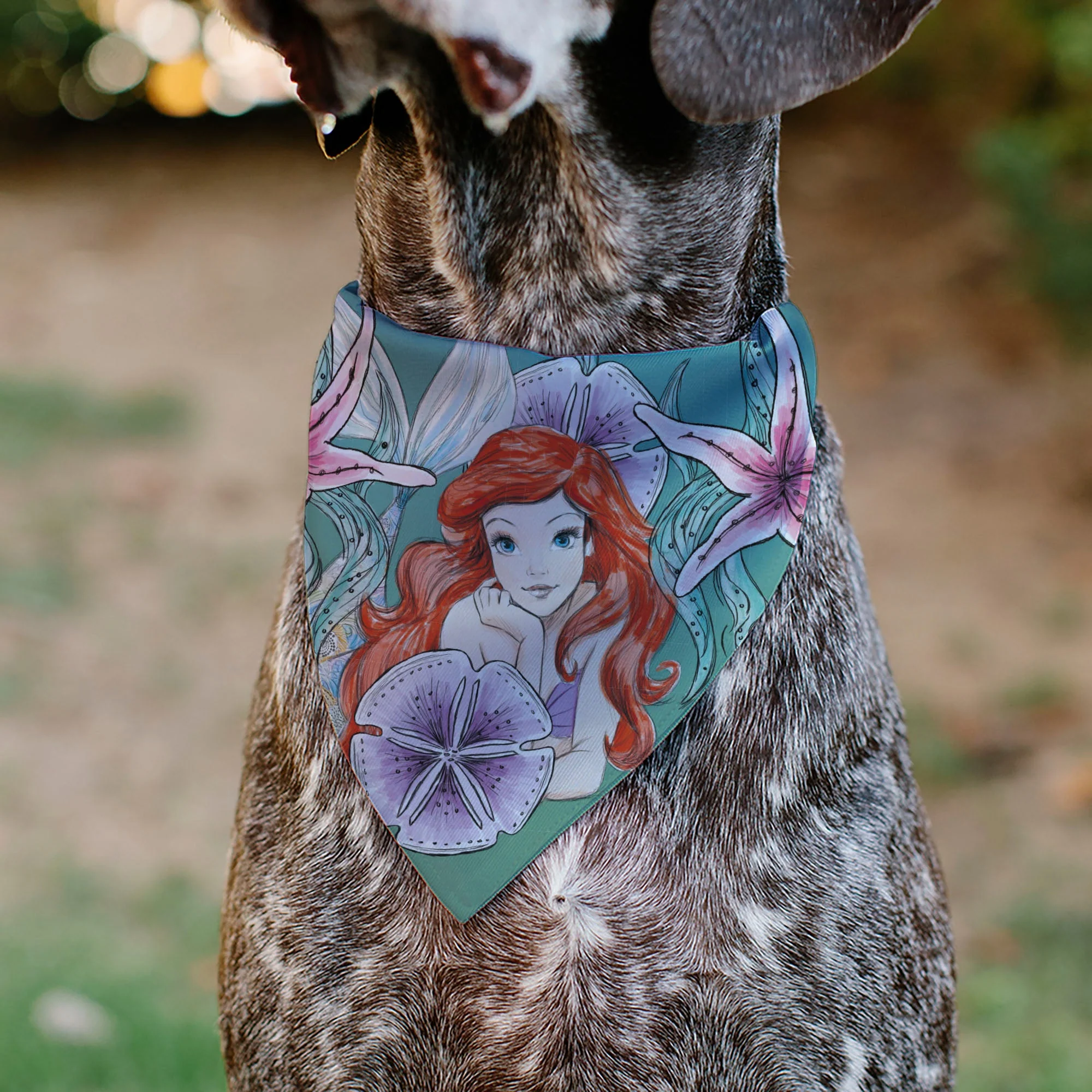 Pet Bandana - The Little Mermaid Ariel Pose and Shells Sketch - Image 4