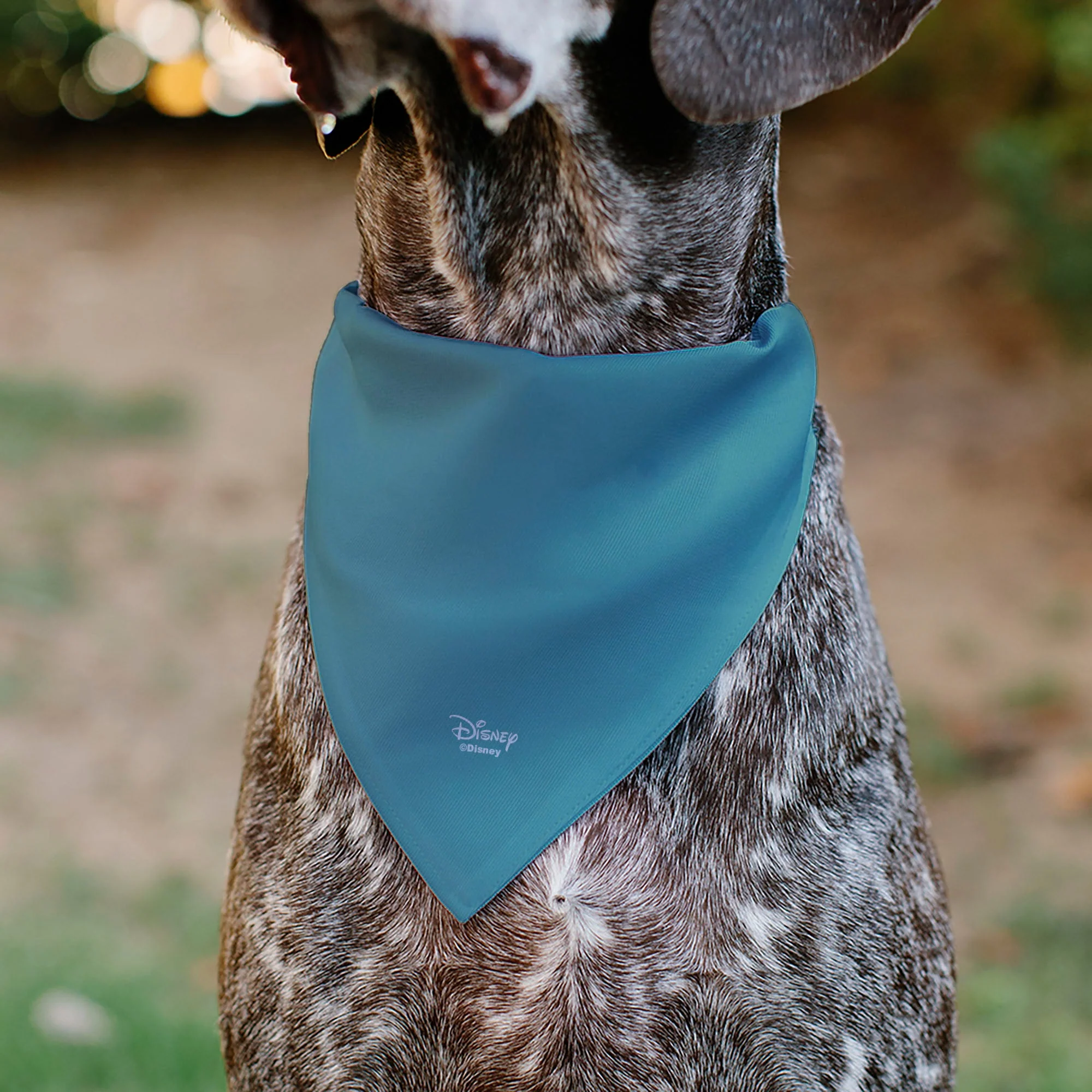 Pet Bandana - The Little Mermaid Ariel Pose and Shells Sketch - Image 5