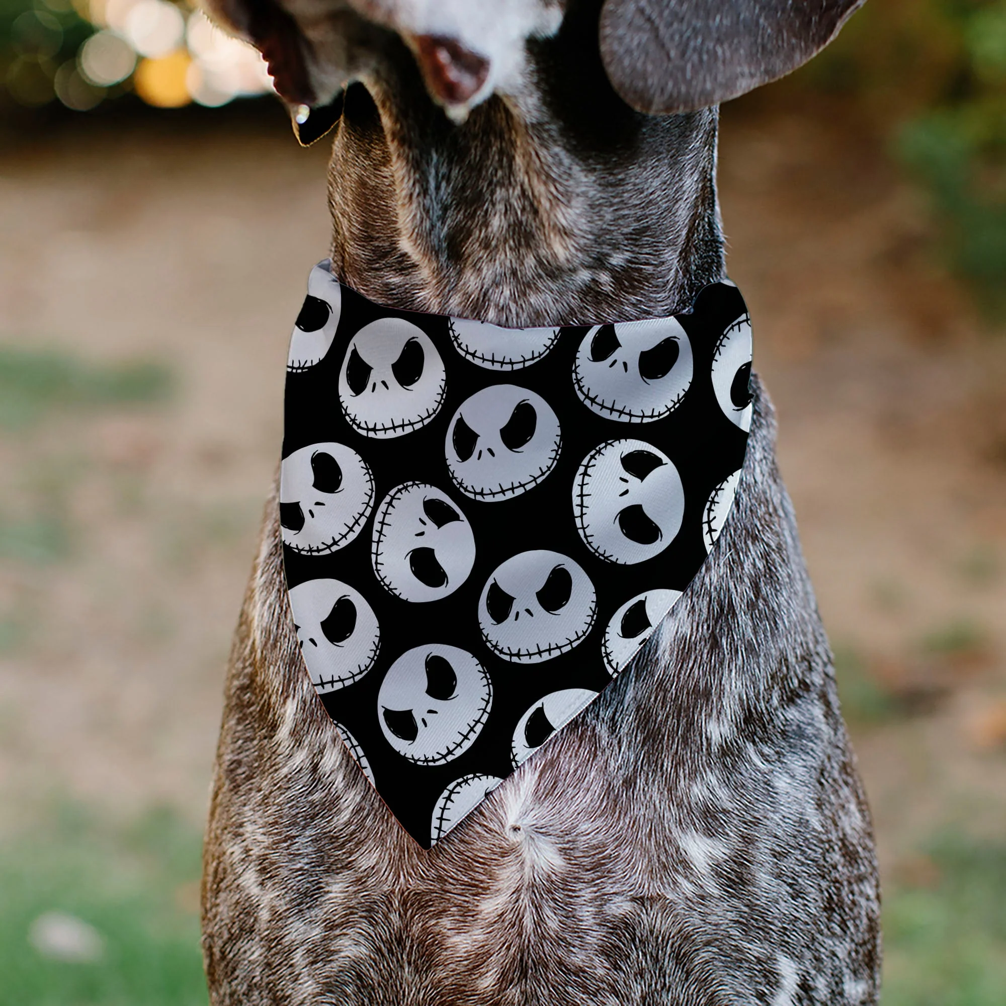 Pet Bandana - The Nightmare Before Christmas Jack Expressions Scattered Black/White - Image 4