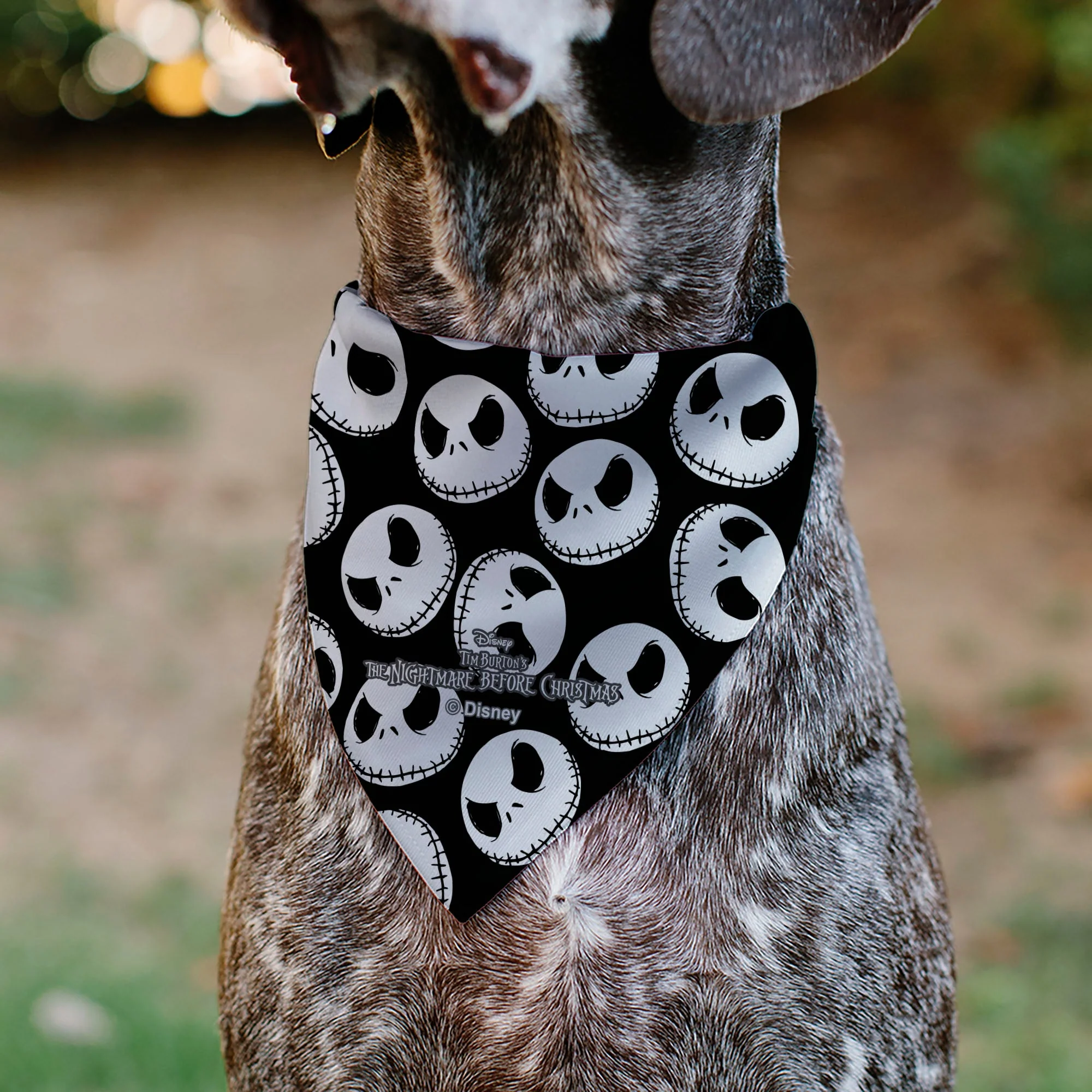 Pet Bandana - The Nightmare Before Christmas Jack Expressions Scattered Black/White - Image 5