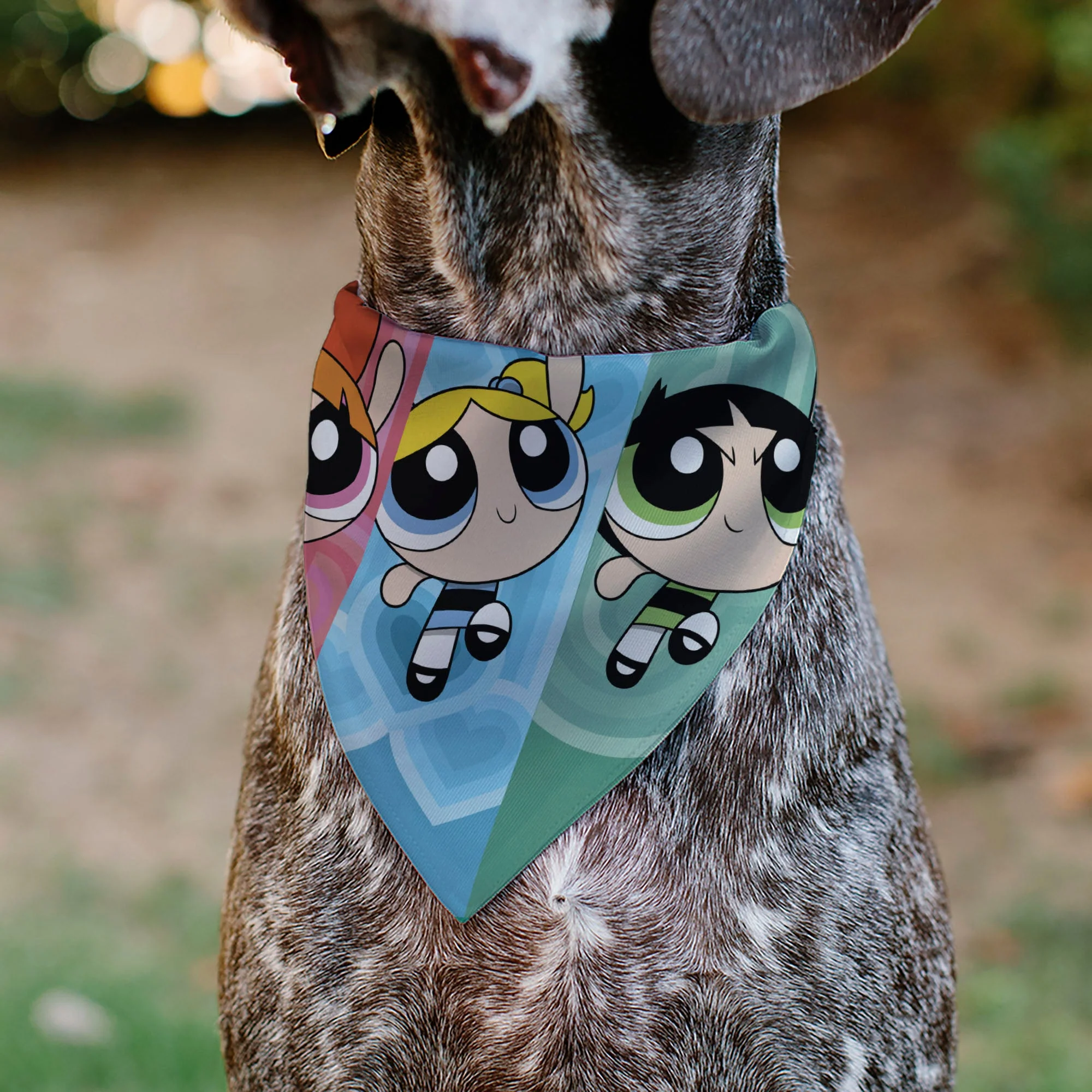 Pet Bandana - The Powerpuff Girls Flight Pose Pinks/Blues/Greens - Image 4