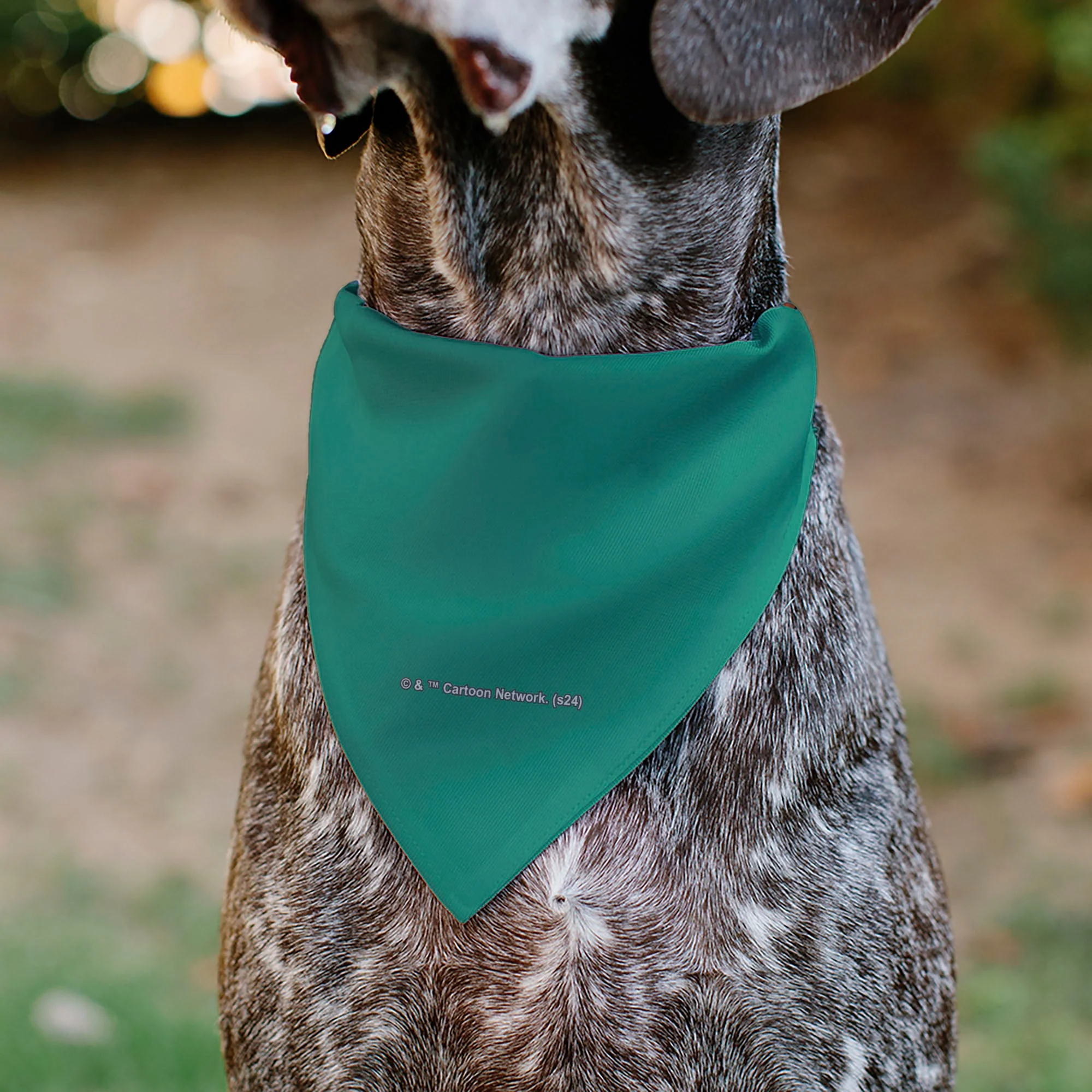 Pet Bandana - The Powerpuff Girls Flight Pose Pinks/Blues/Greens - Image 5