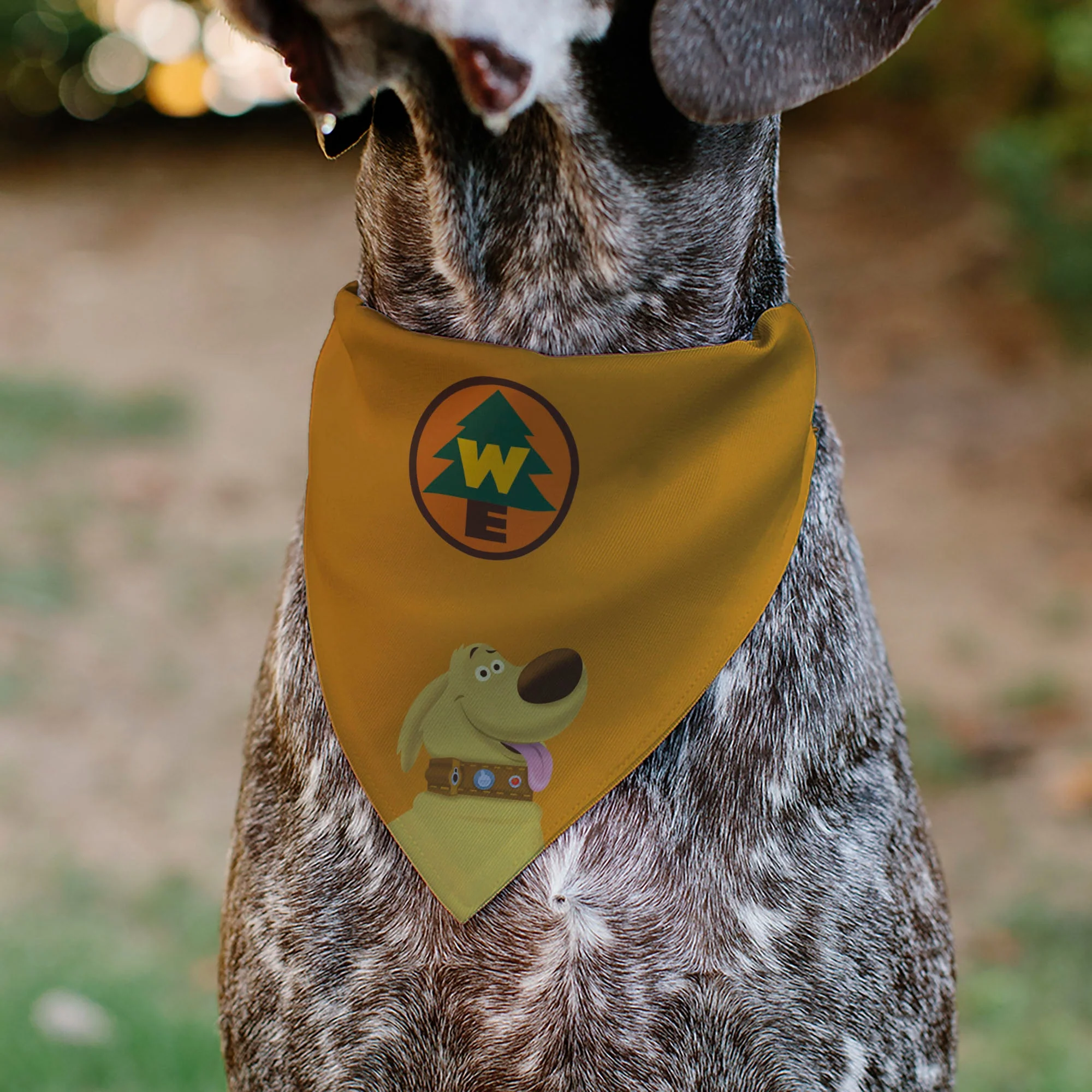 Pet Bandana - Up Dug Pose and Wilderness Explorer Badge Orange - Image 4