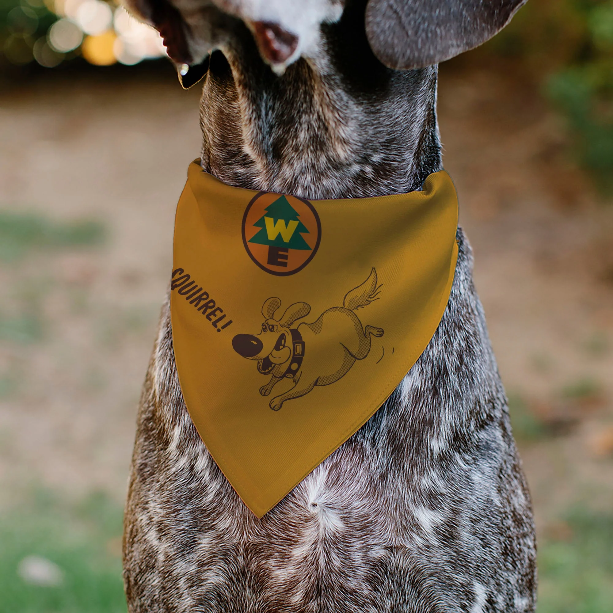 Pet Bandana - Up Dug SQUIRREL Pose and Wilderness Explorer Badge Orange - Image 4