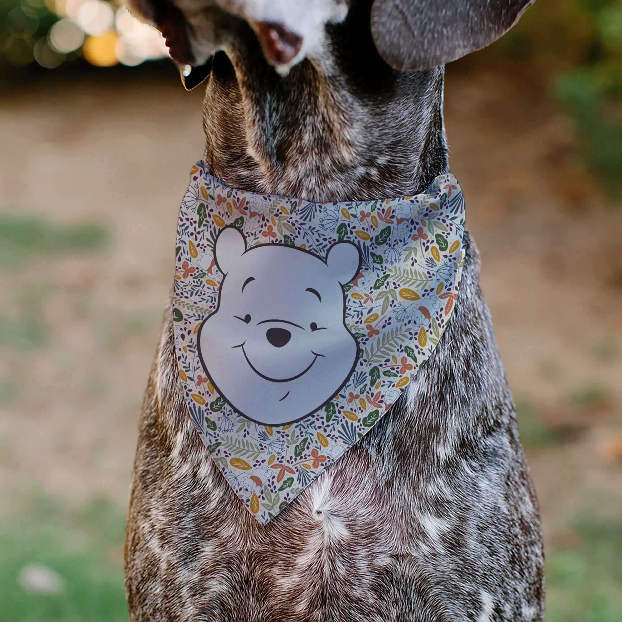 Pet Bandana - Winnie the Pooh Smiling Face/Foliage Collage Beige/Green/Orange/Yellow - Image 4