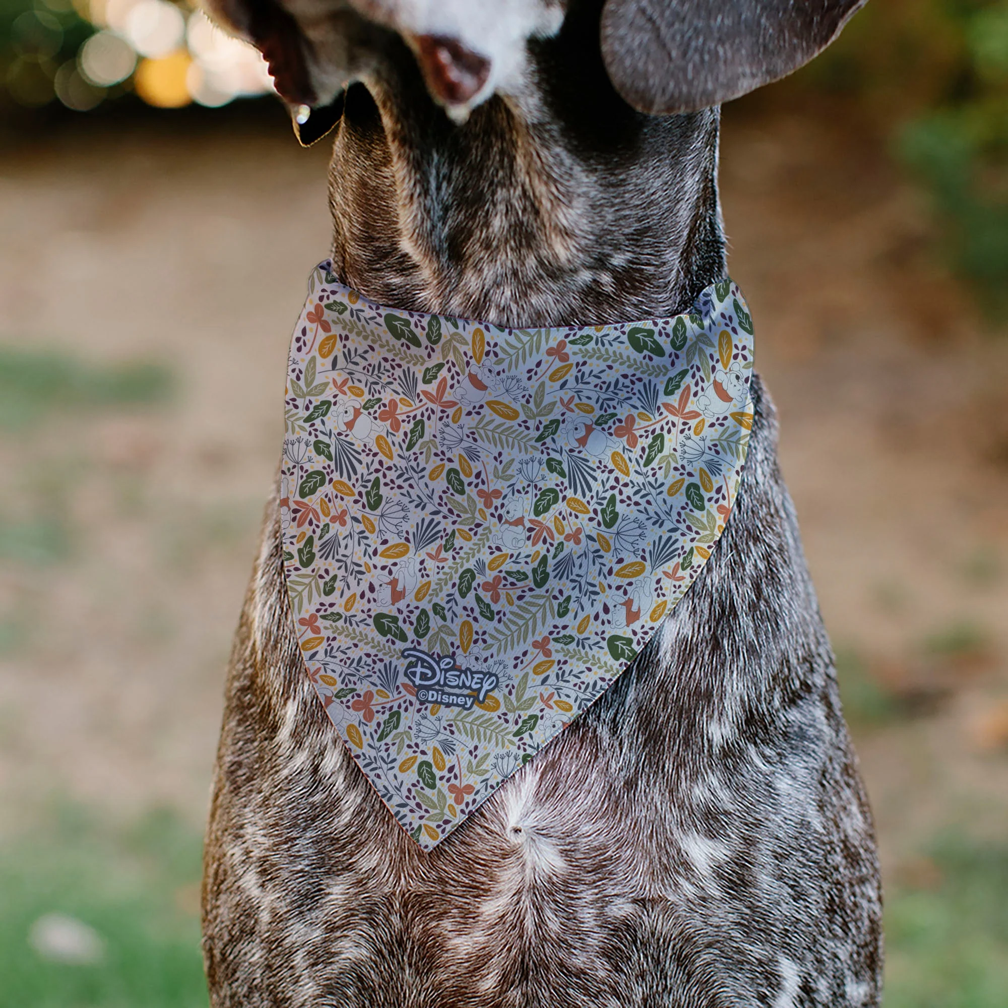 Pet Bandana - Winnie the Pooh Smiling Face/Foliage Collage Beige/Green/Orange/Yellow - Image 5