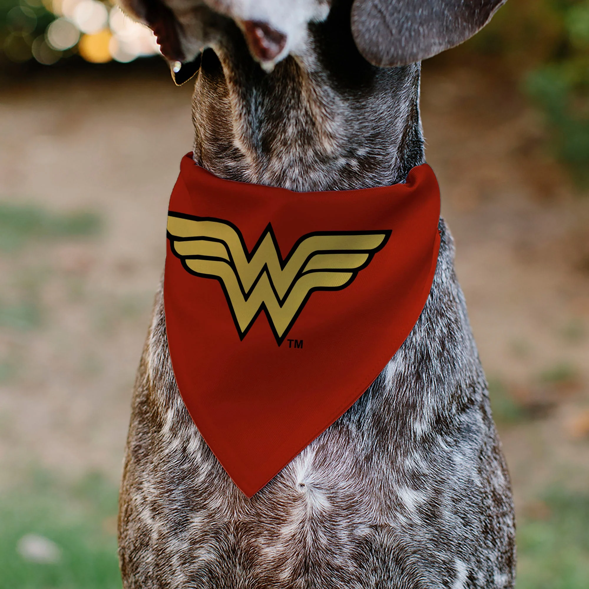 Pet Bandana - Wonder Woman WW Logo Red/Black/Yellow - Image 4