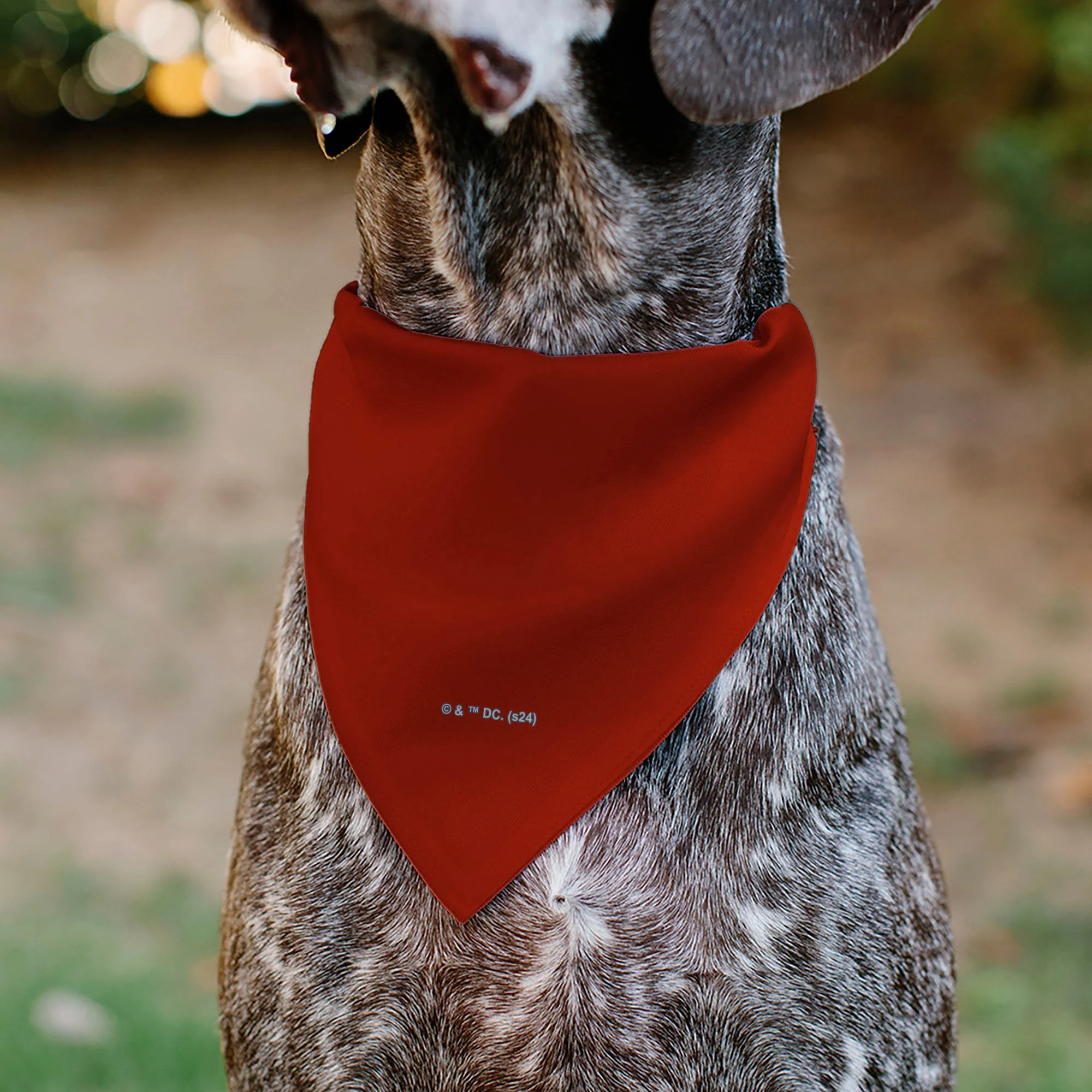 Pet Bandana - Wonder Woman WW Logo Red/Black/Yellow - Image 5