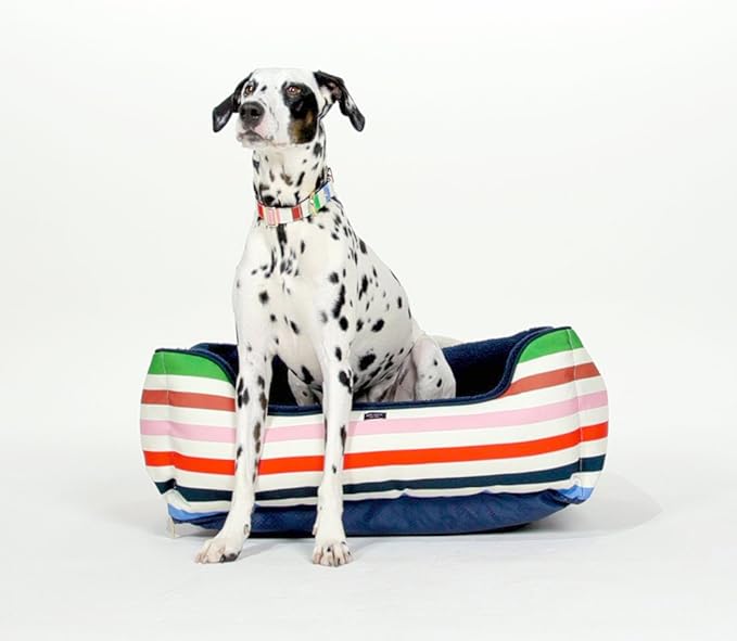 Kate Spade Adventure Stripe Bed - Image 3