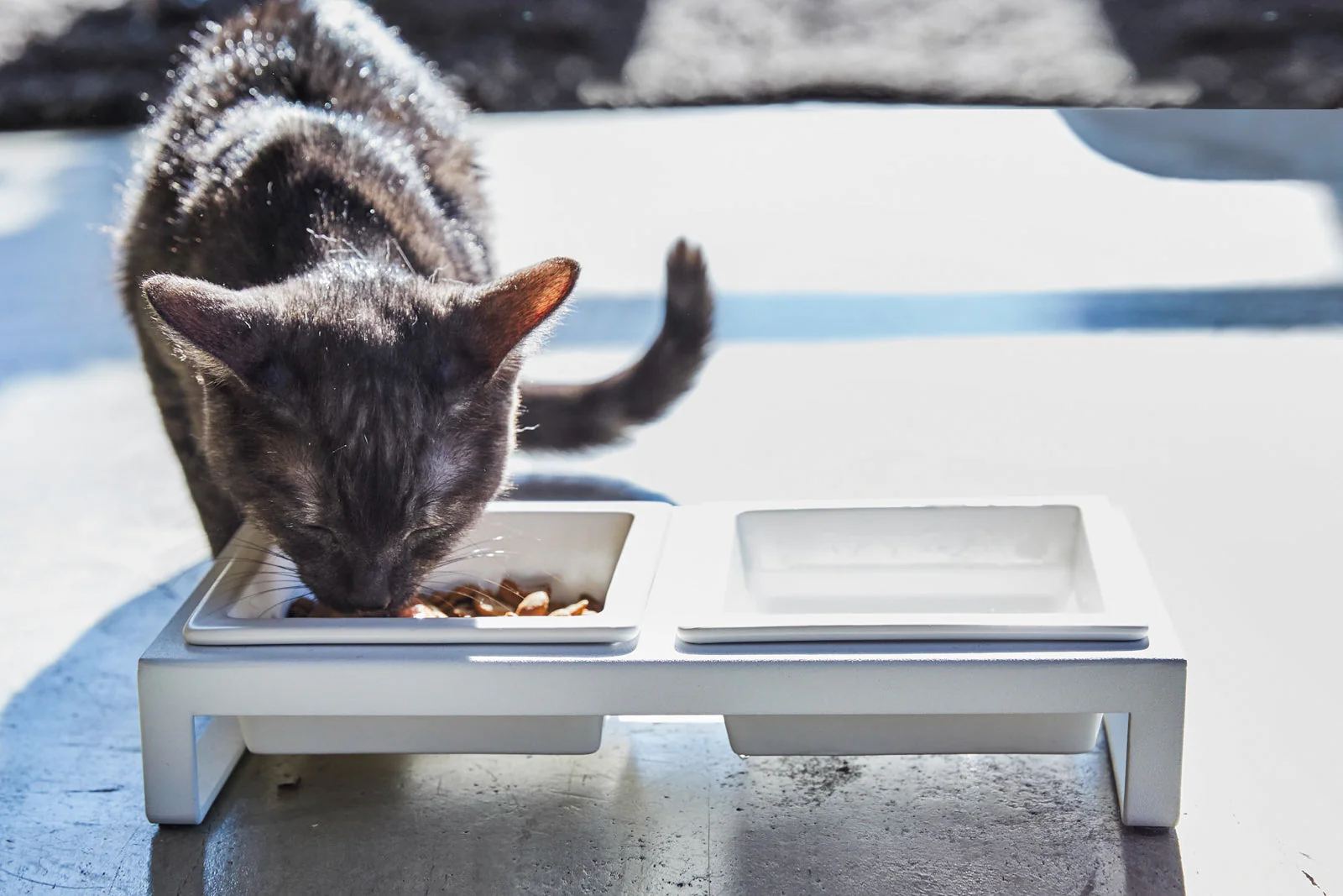 Pet Food Bowl - Steel + Ceramic - Image 4