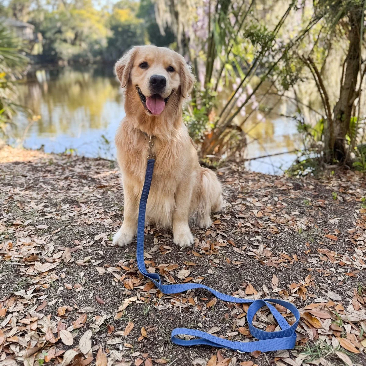 Pet Leash- Checkered Wave - Image 2