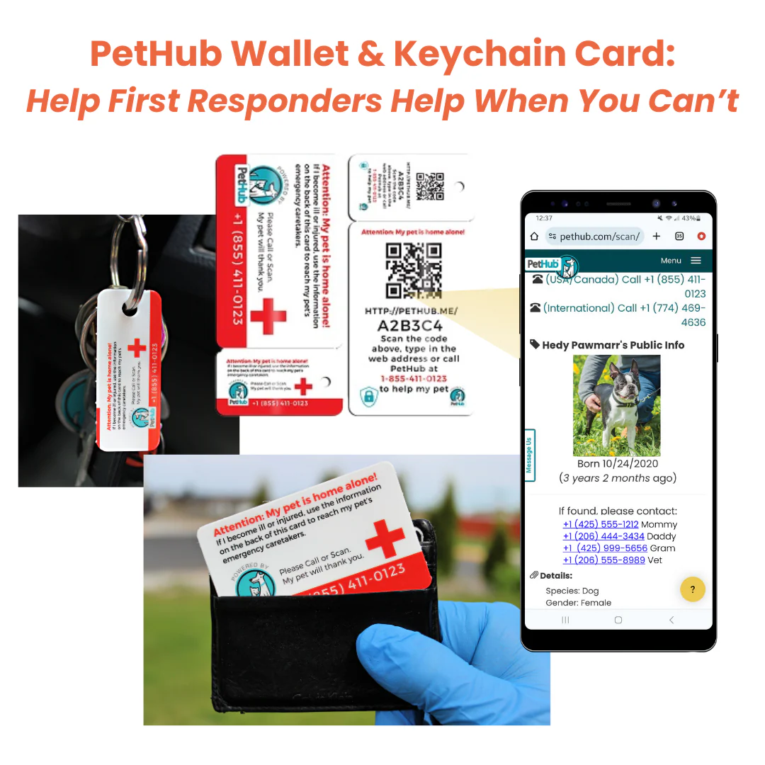 PetHub QR Pet ID Wallet & Keychain Card – Emergency Backup for Your Pet - Image 4