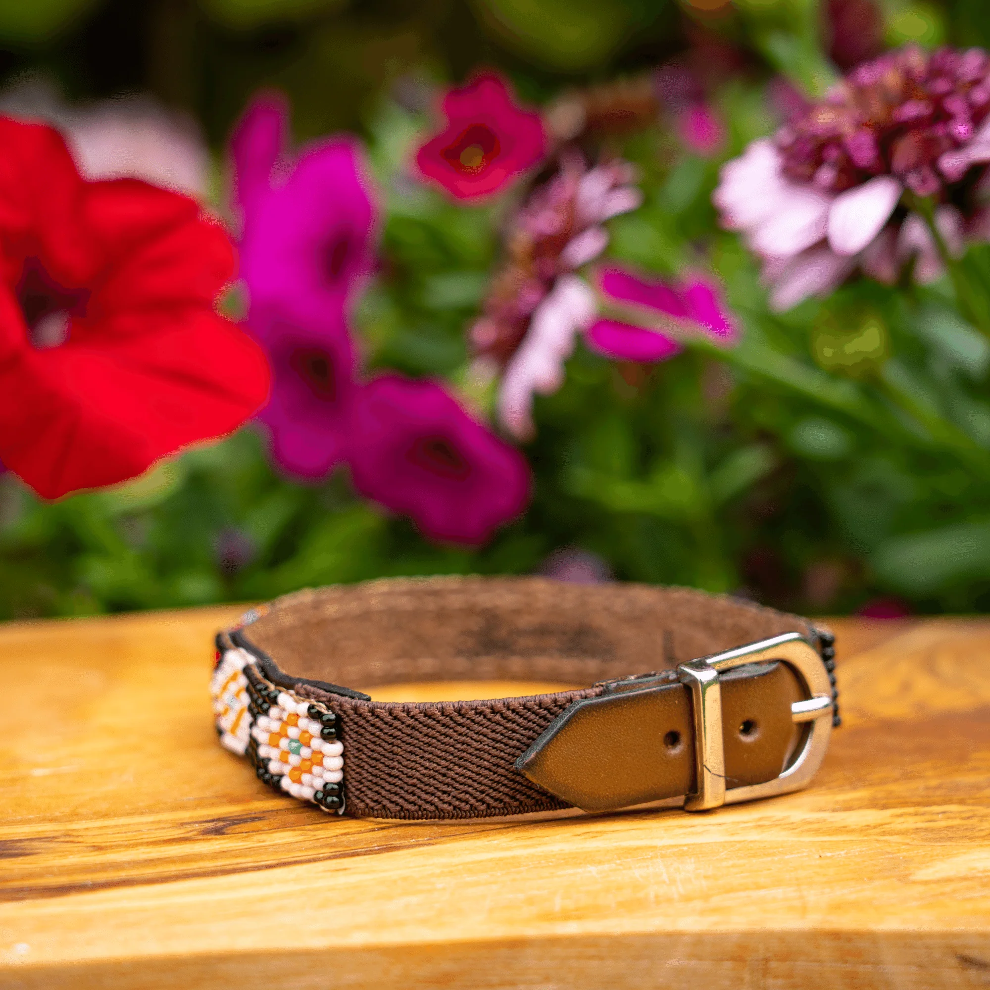 Phoenix Sambboho cat collar - Image 3