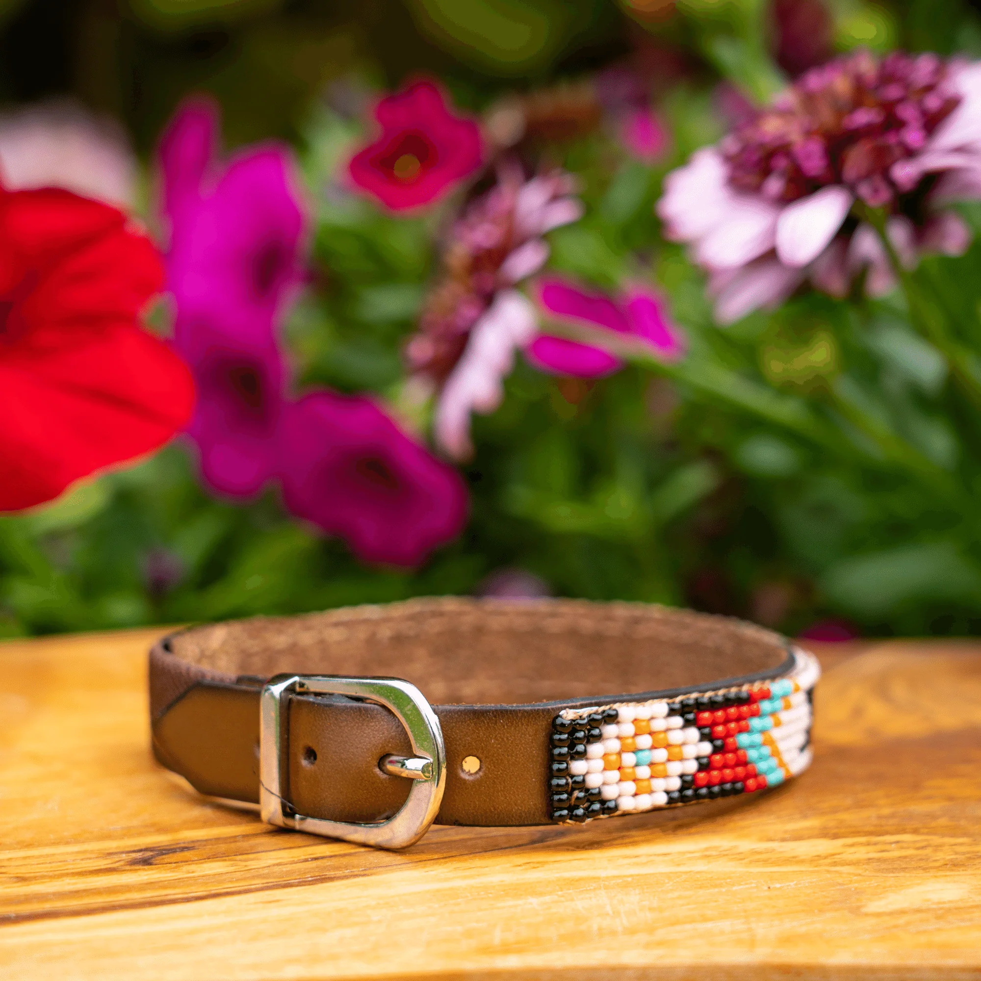 Phoenix Sambboho cat collar - Image 4