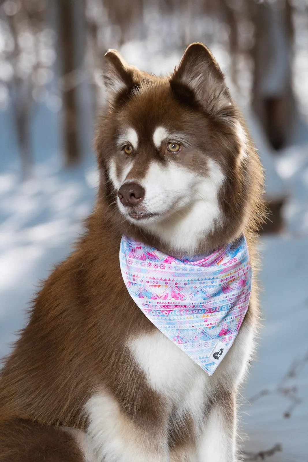 Pink and Blue Tribal Dog Bandana & Matching Keychain - Image 3