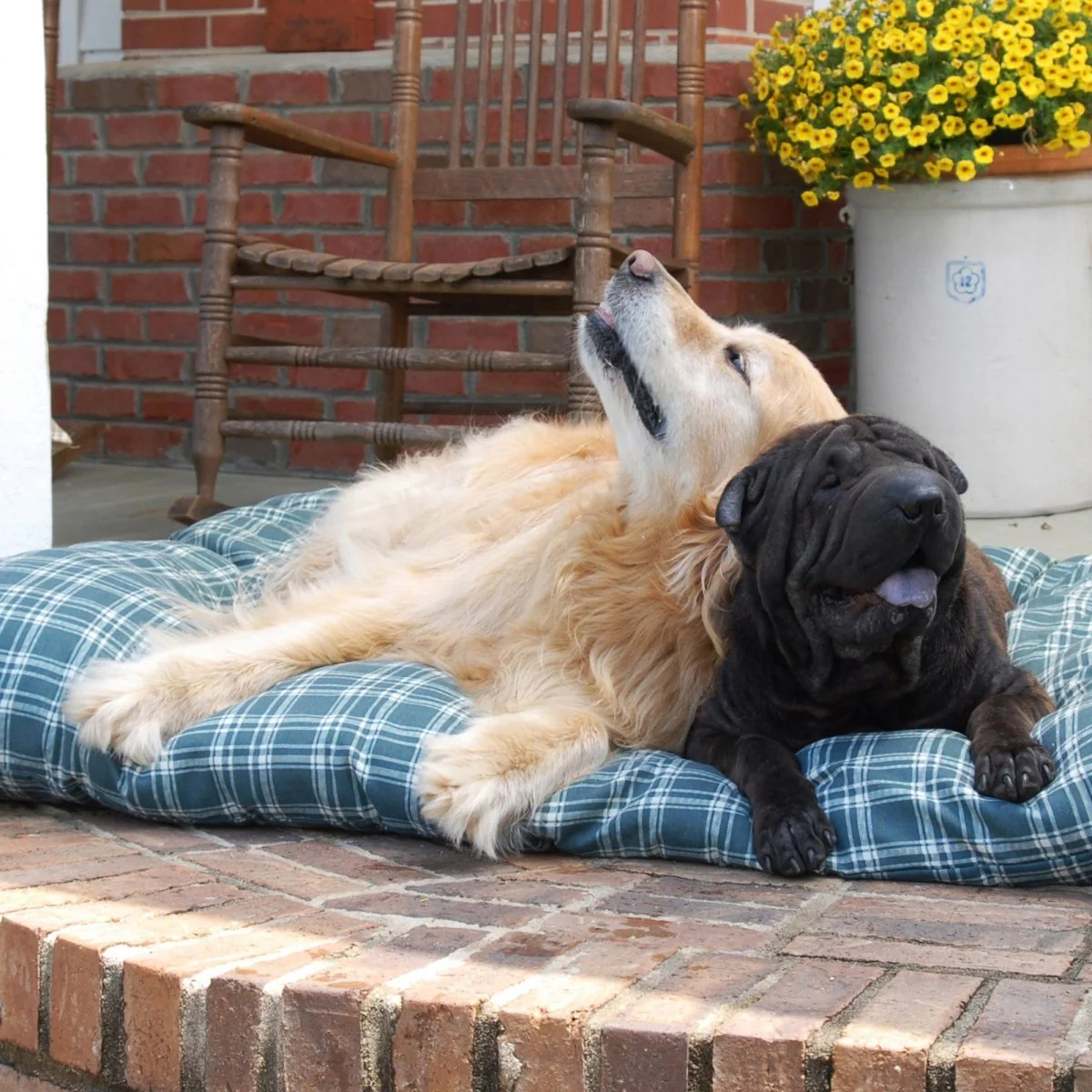 Plaid Shebang Rectangle Indoor Outdoor Dog Bed - Image 2