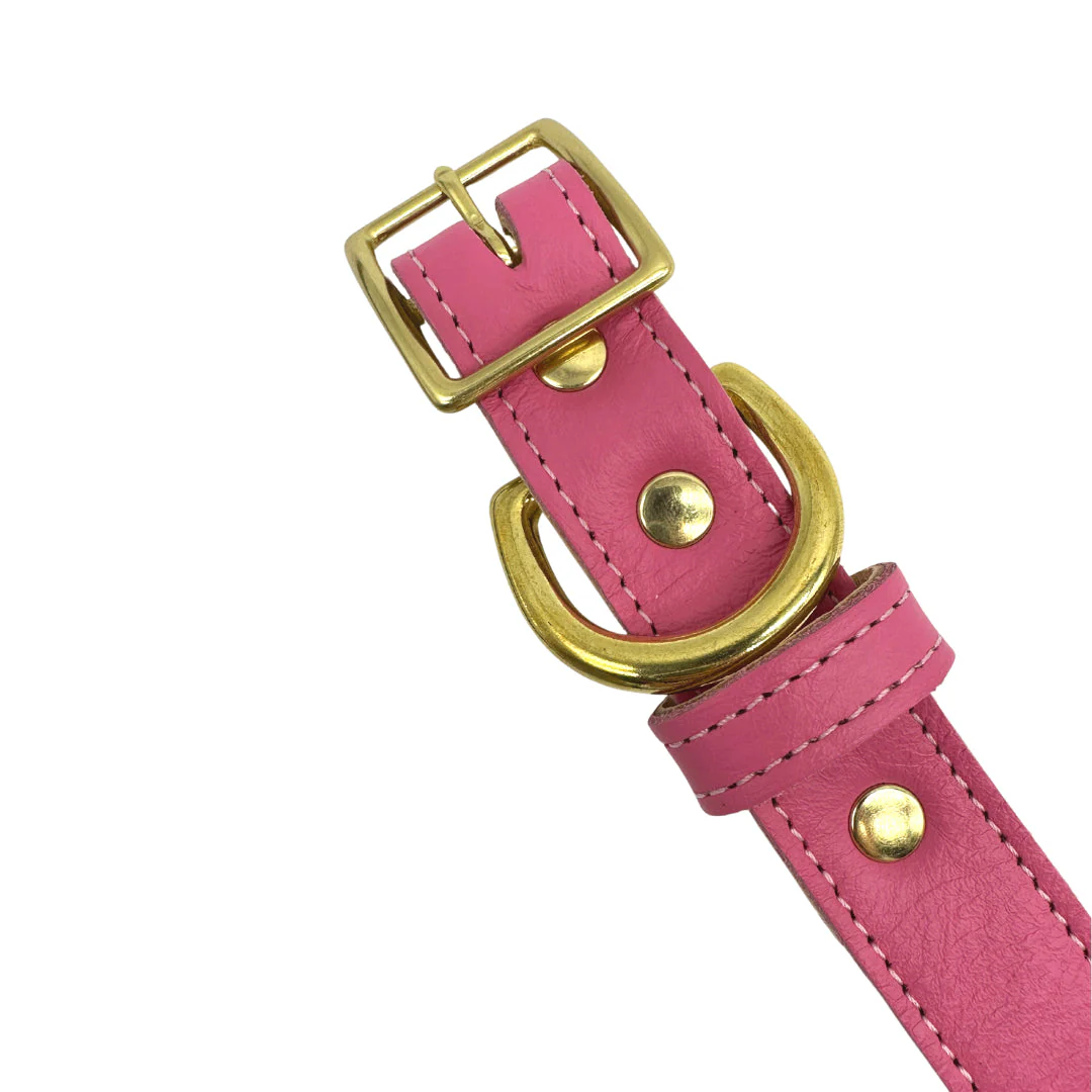 Plain Leather Dog Collar - Image 20