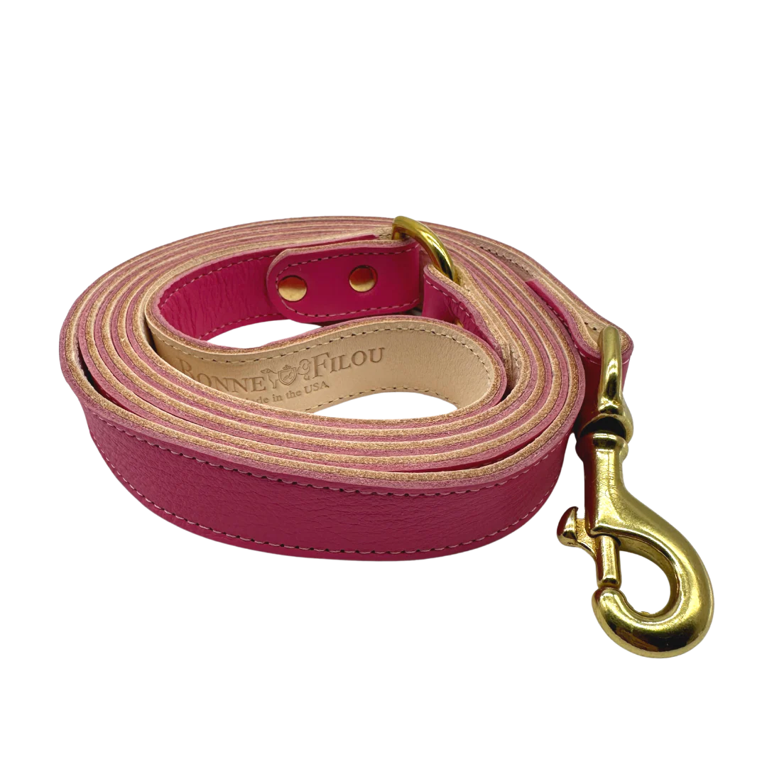 Plain Leather Dog Leashes - Image 6