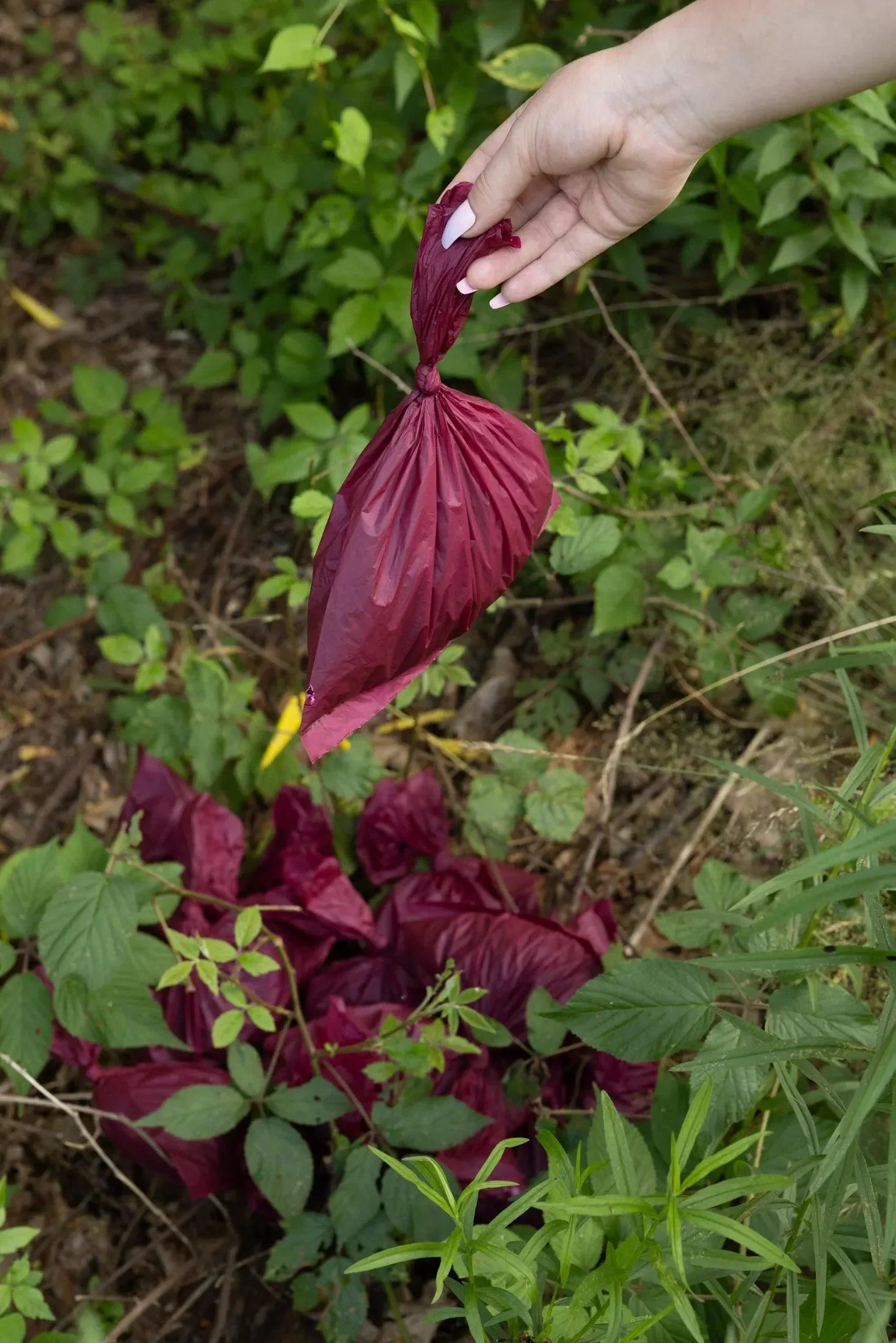 Plant Based Compostable Waste Bags - Image 4