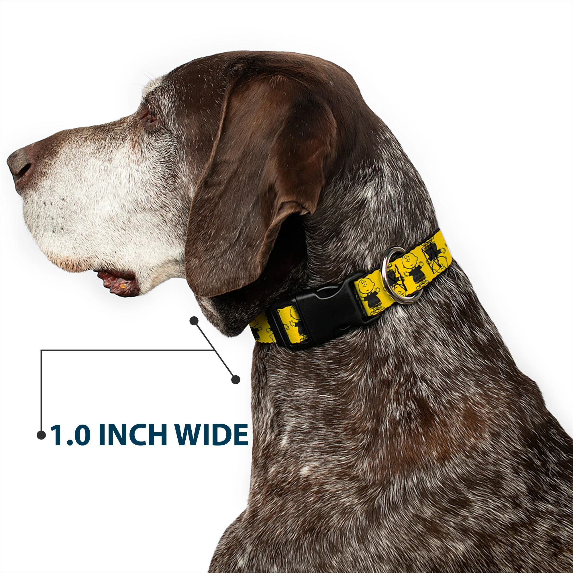 Plastic Clip Collar - Peanuts Charlie Brown Pose Flip Yellow/Black - Image 6