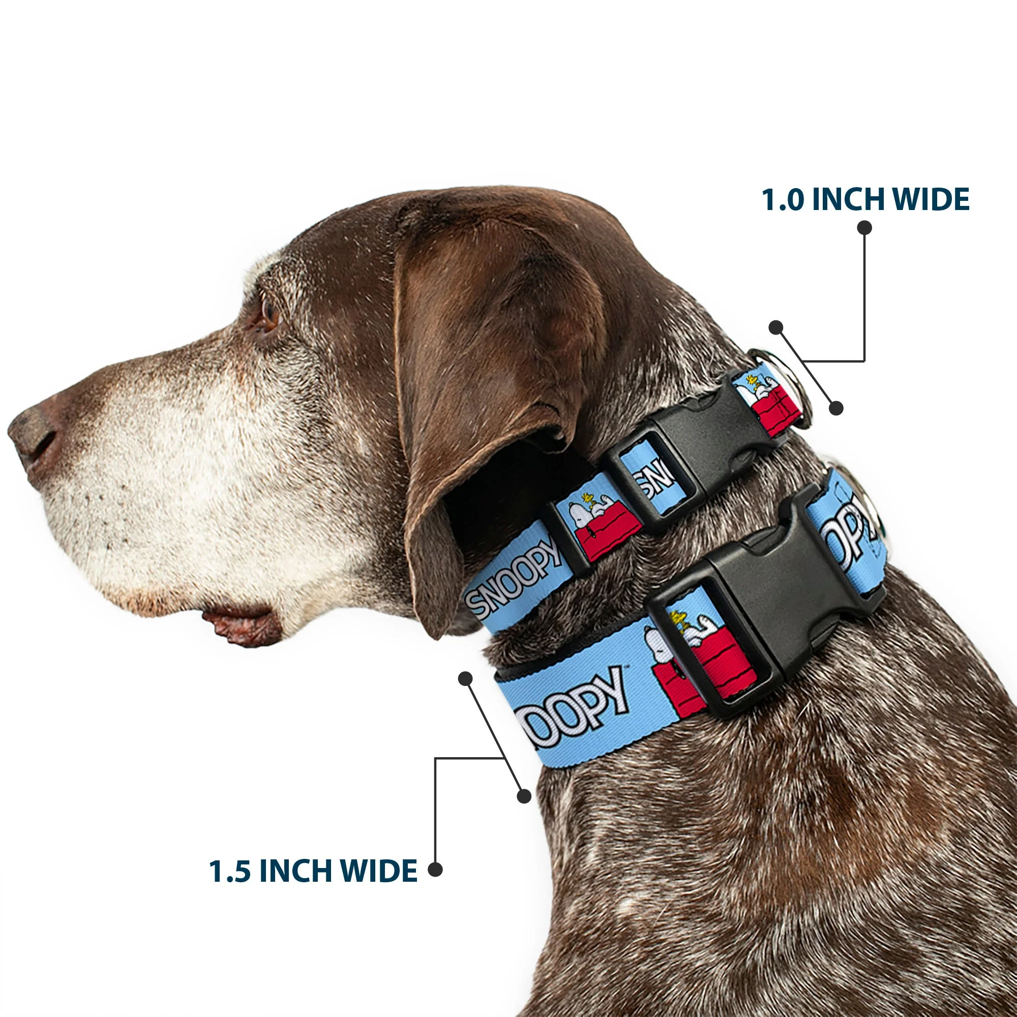 Plastic Clip Collar - Peanuts Snoopy and Woodstock Dog House Pose and Text Sky Blue - Image 2