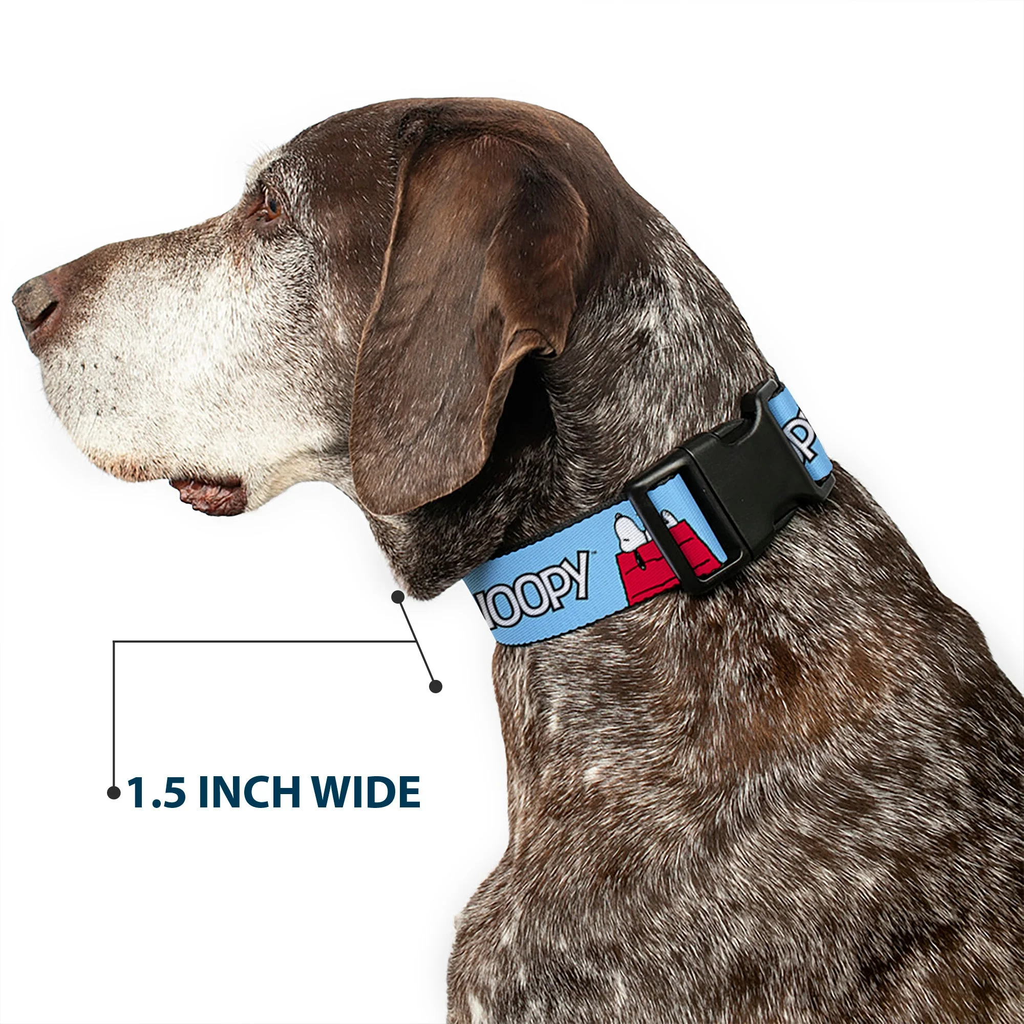 Plastic Clip Collar - Peanuts Snoopy and Woodstock Dog House Pose and Text Sky Blue - Image 7