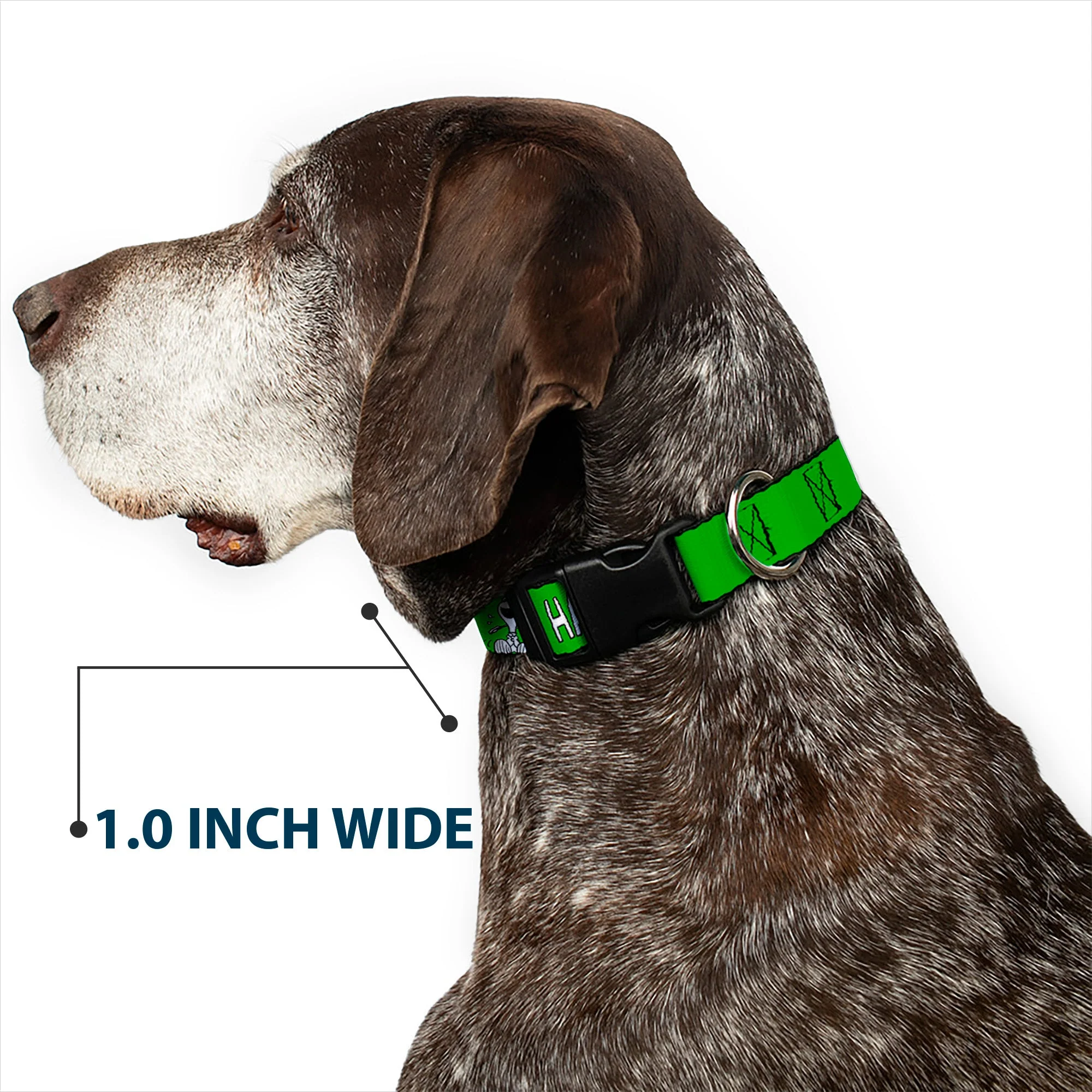 Plastic Clip Collar - Peanuts Snoopy and Woodstock Laughing HAHA Pose Green - Image 6