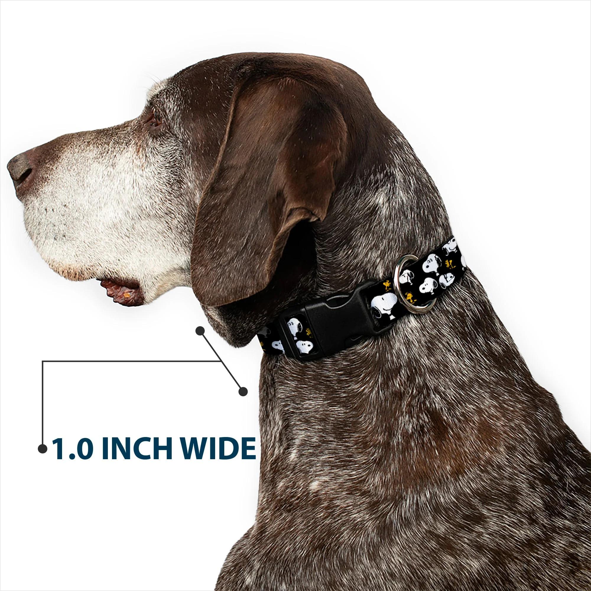 Plastic Clip Collar - Peanuts Snoopy and Woodstock Poses Scattered Black - Image 6