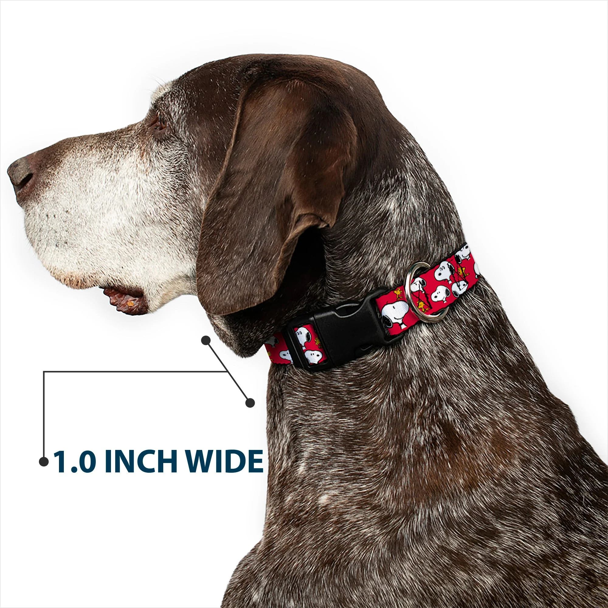 Plastic Clip Collar - Peanuts Snoopy and Woodstock Poses Scattered Red - Image 6