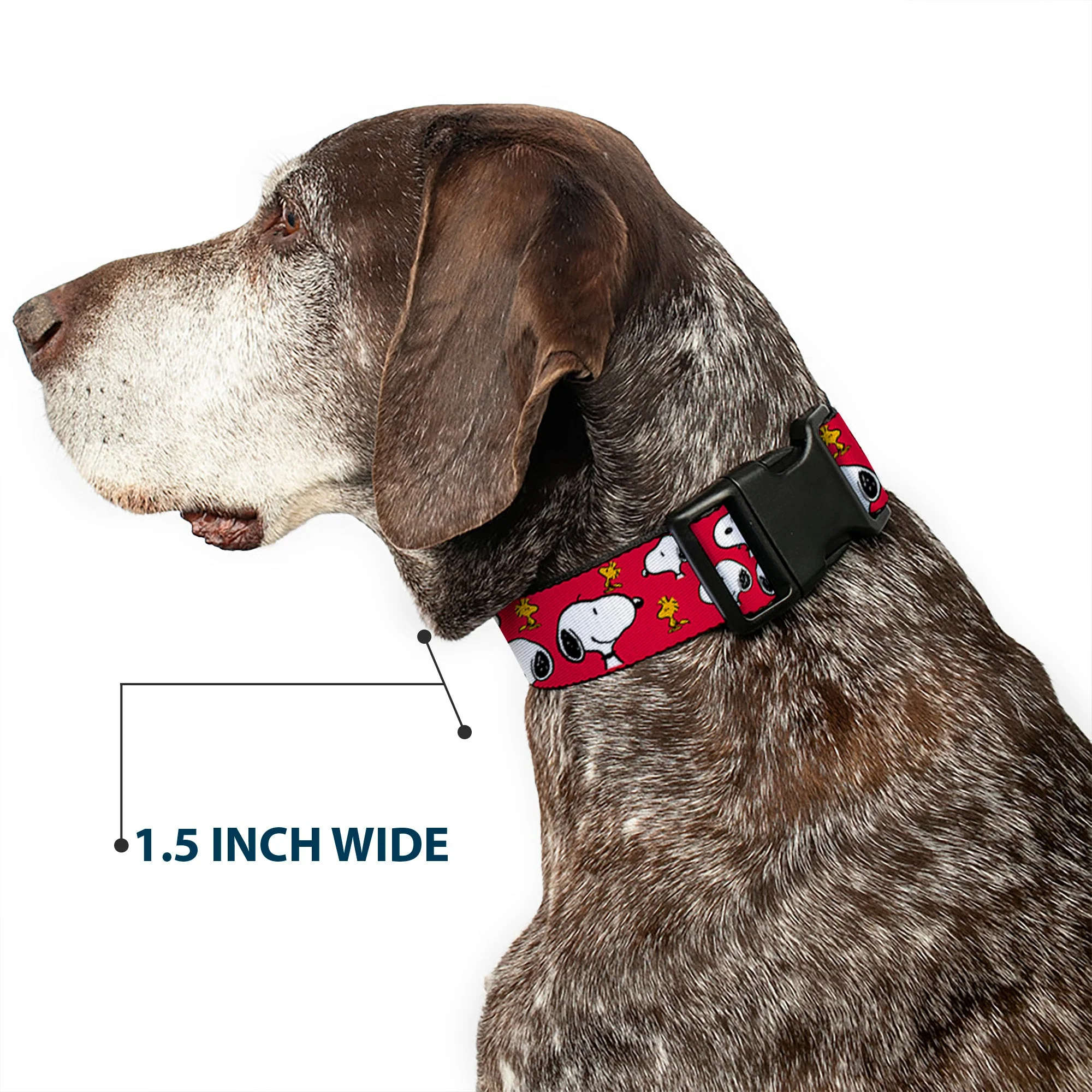 Plastic Clip Collar - Peanuts Snoopy and Woodstock Poses Scattered Red - Image 7