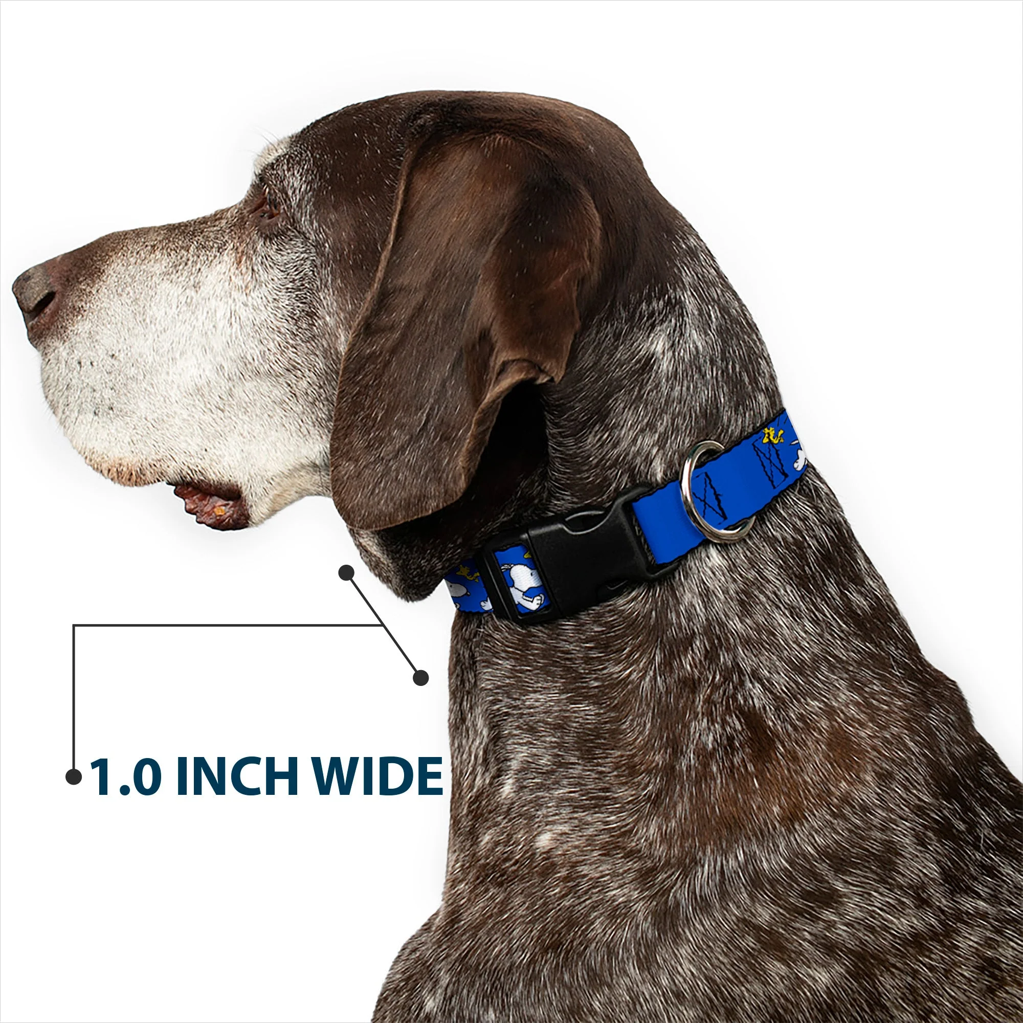 Plastic Clip Collar - Peanuts Snoopy Running and Woodstock Pose Blue - Image 6