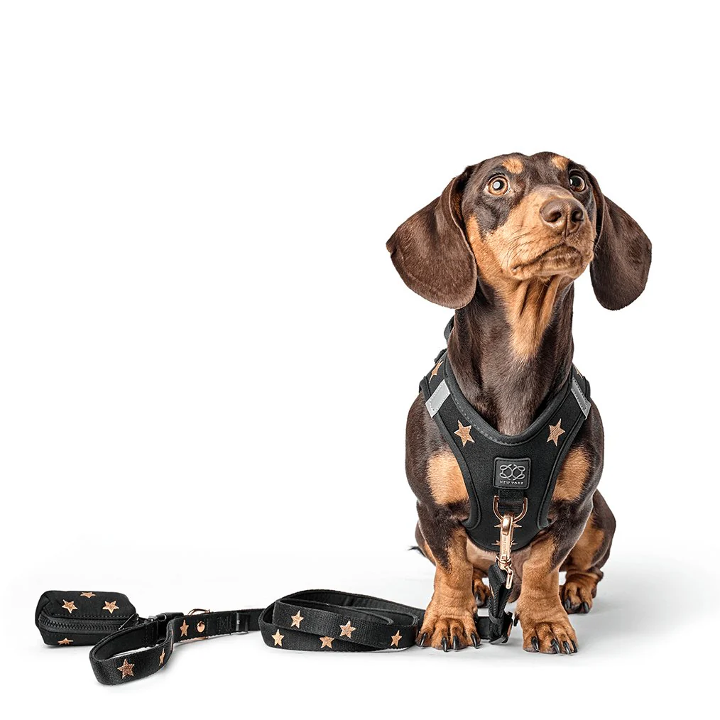 Poop Bag Holder - Rockstar - Image 3